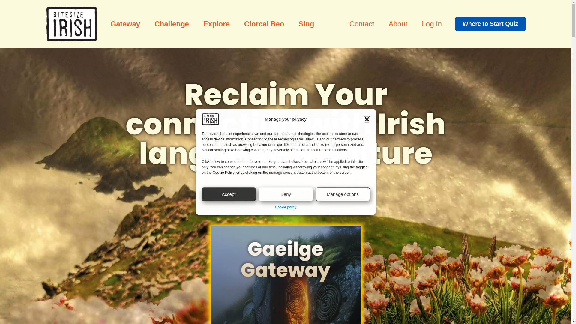 website screenshot of https://gaeilgegachla.com/