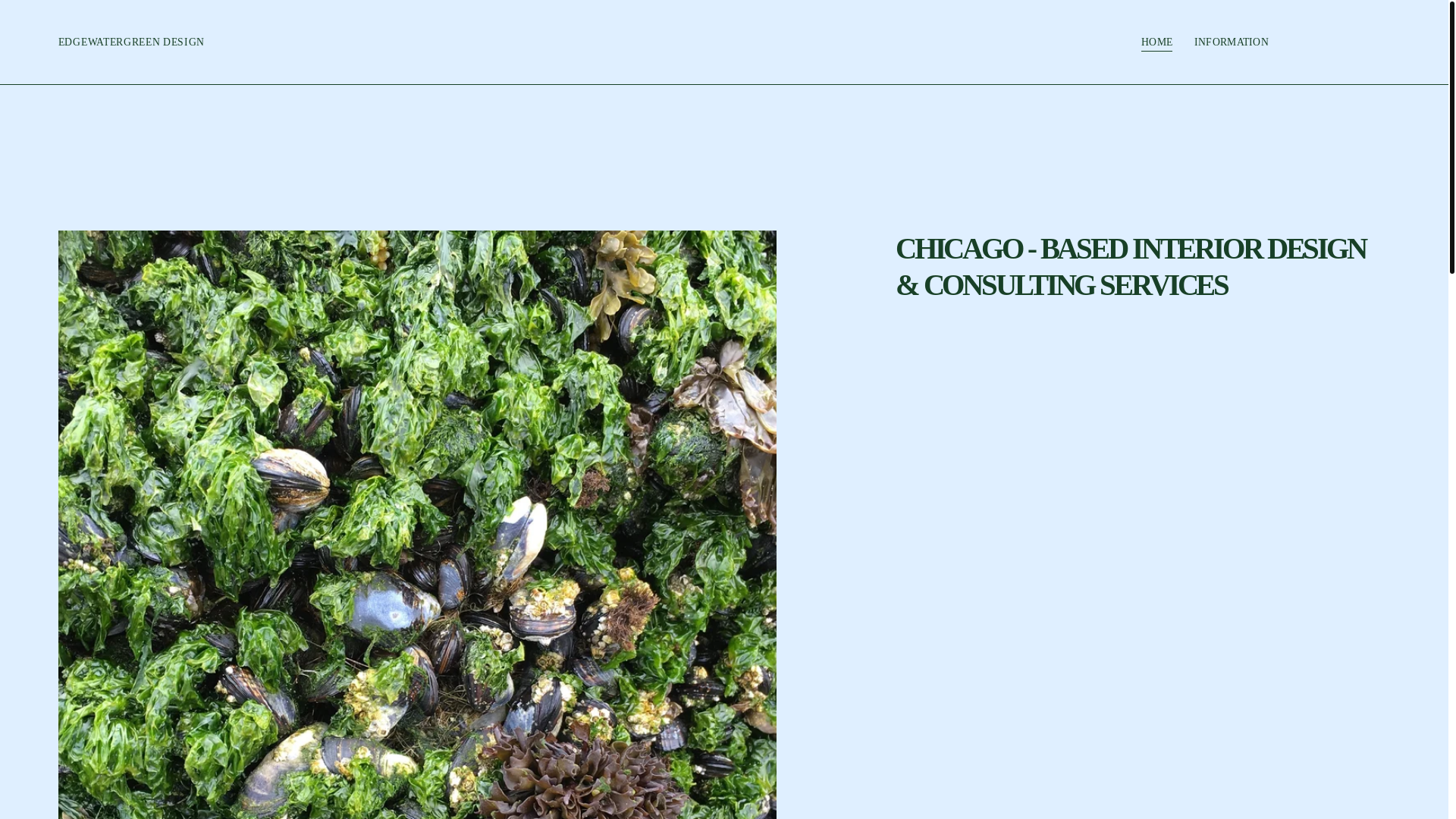 website screenshot of https://edgewatergreendesign.com/