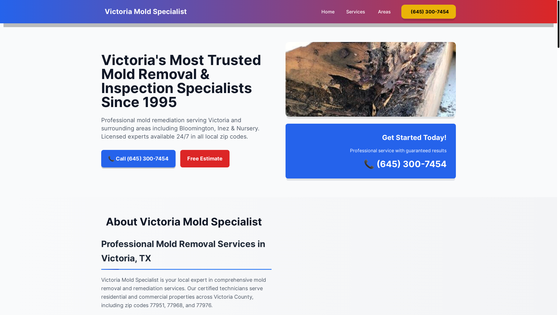website screenshot of https://mold-inspection-victoria-tx.pages.dev/