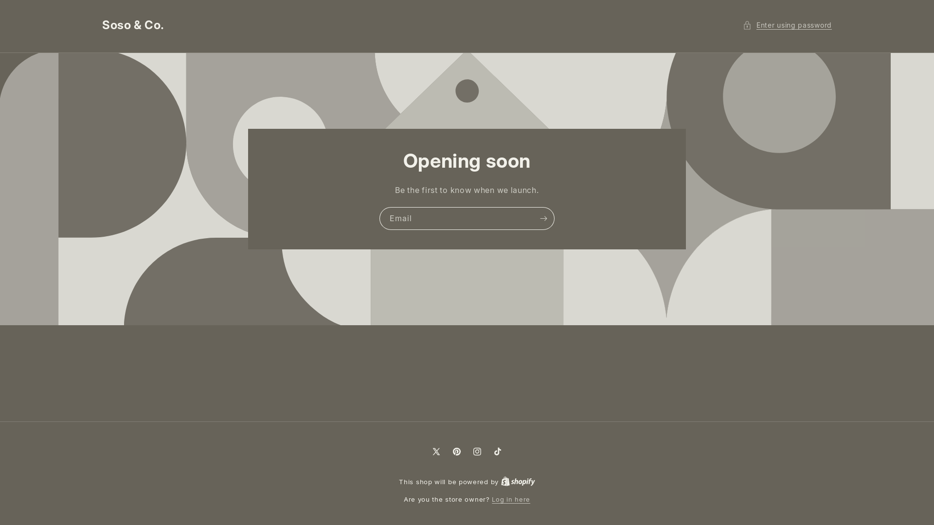 website screenshot of https://sosoandco.me/