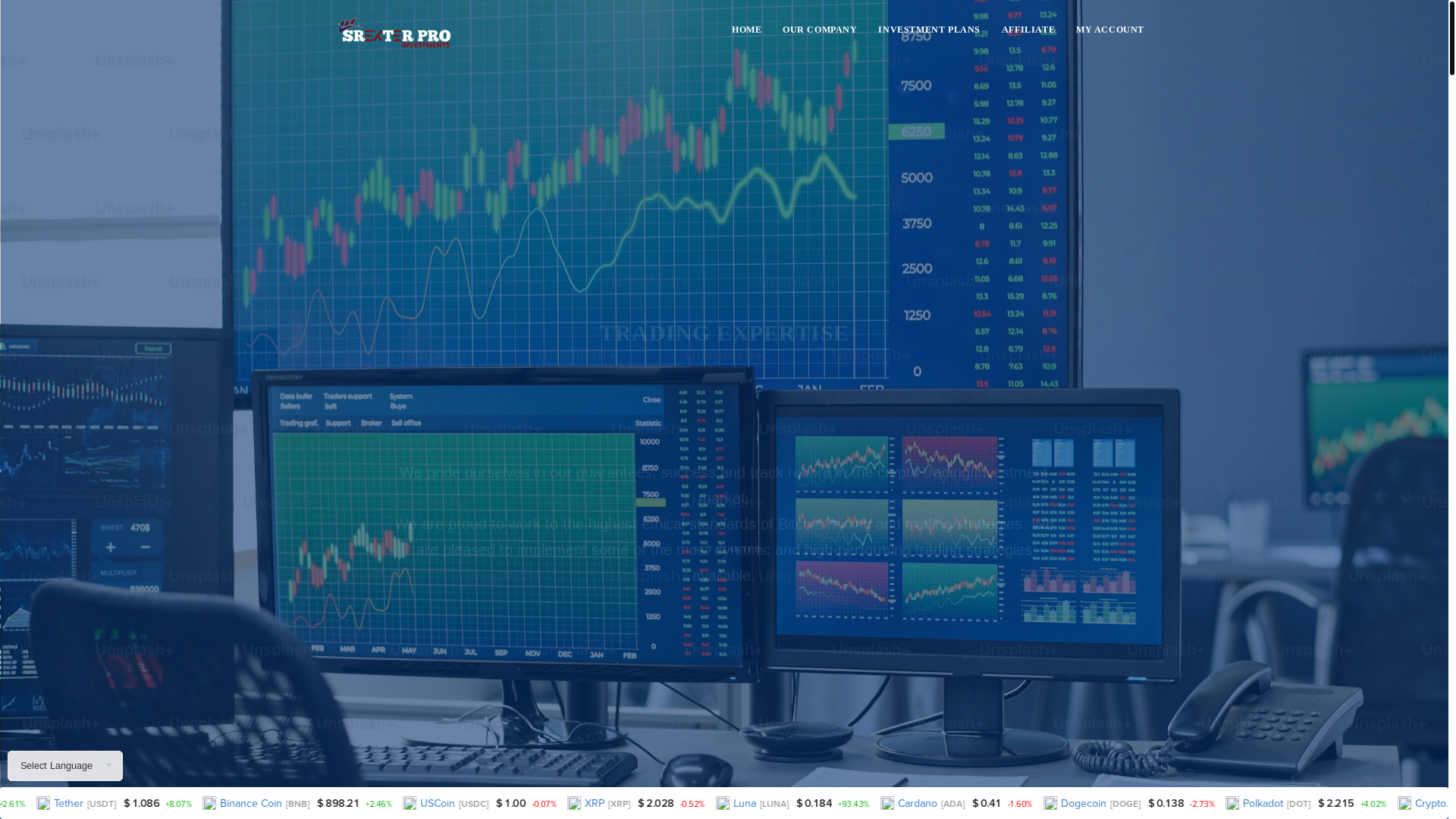 website screenshot of http://www.srexterpro.com