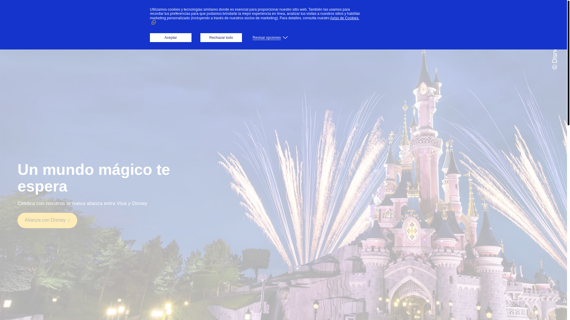website screenshot of https://visa.com