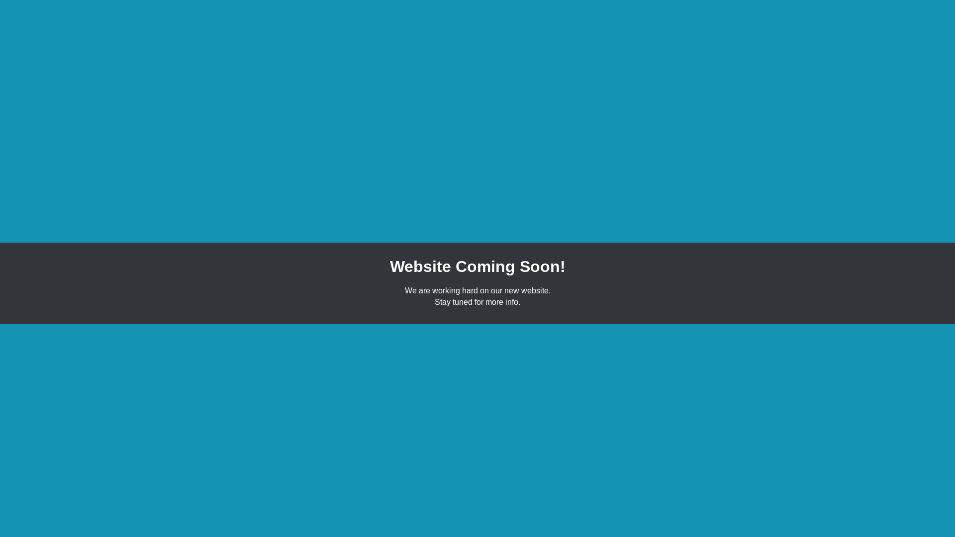 website screenshot of https://hotnchillyheatingandcooling.com.au/