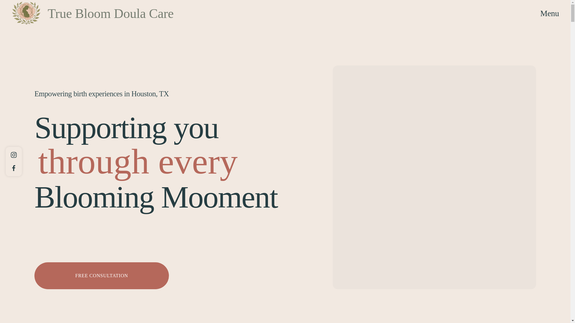 website screenshot of https://truebloomdoula.com/