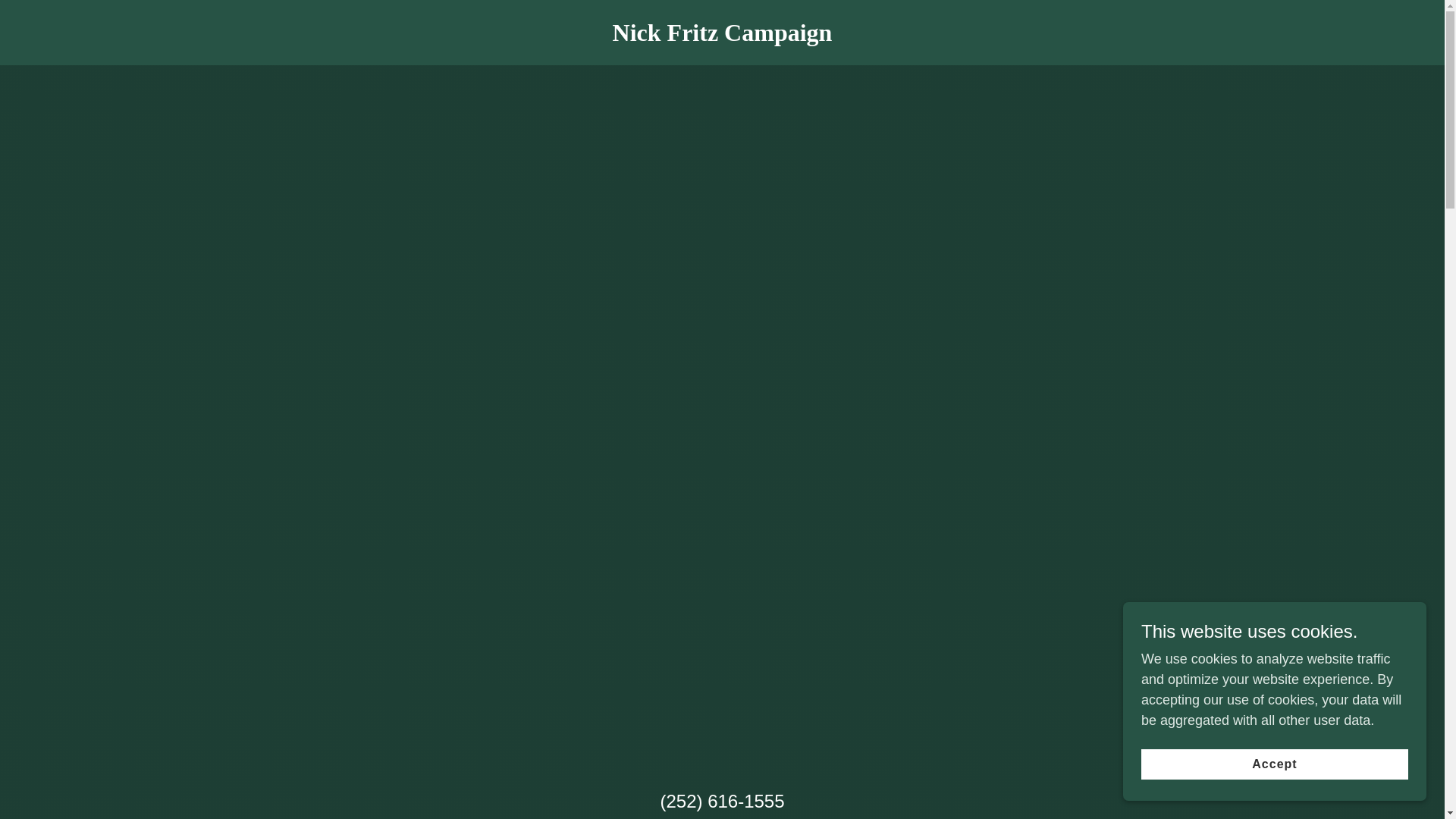 website screenshot of https://electnickfritz.org/