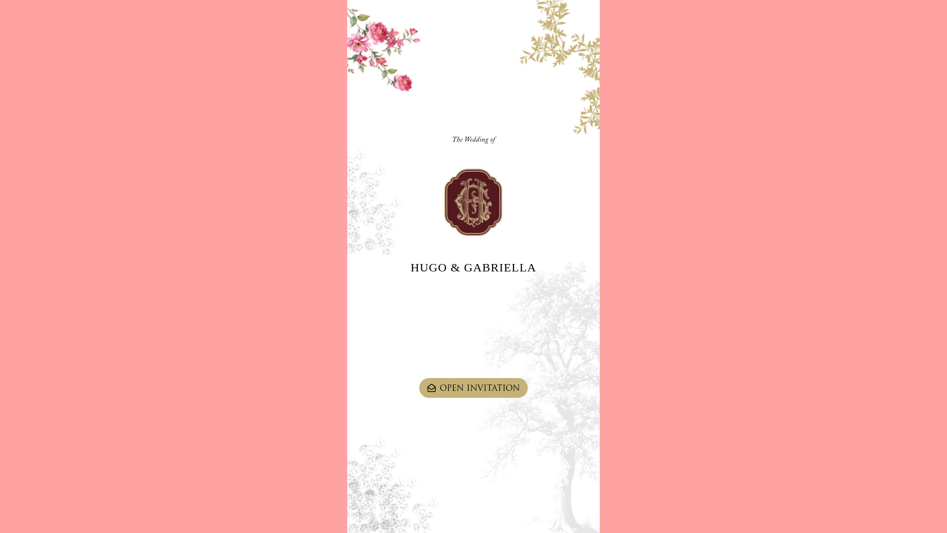 website screenshot of https://hugoandgabby.com/