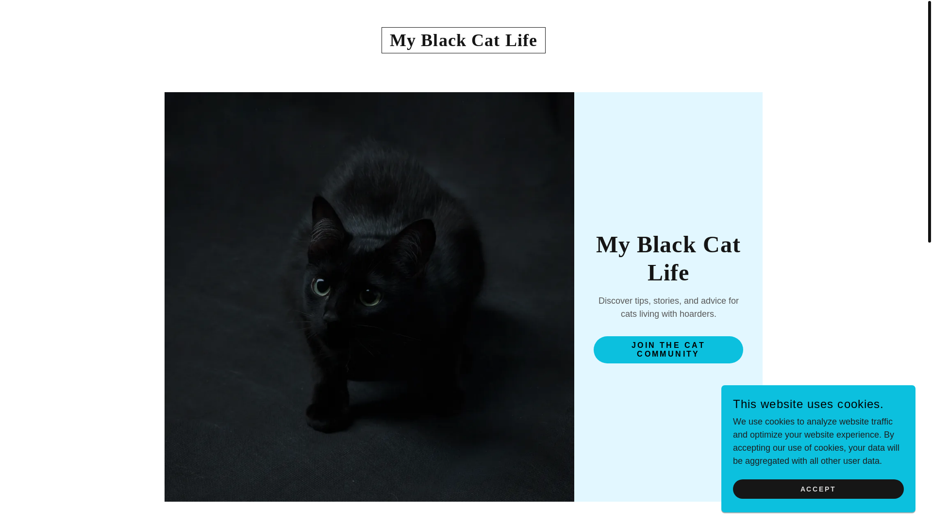 website screenshot of https://myblackcatlife.blog/