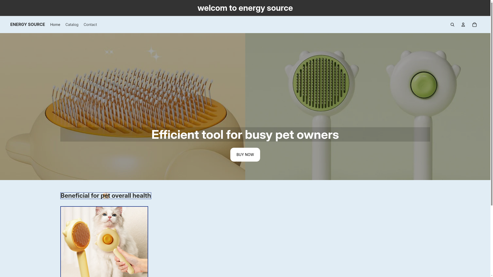 website screenshot of https://energysource.services/