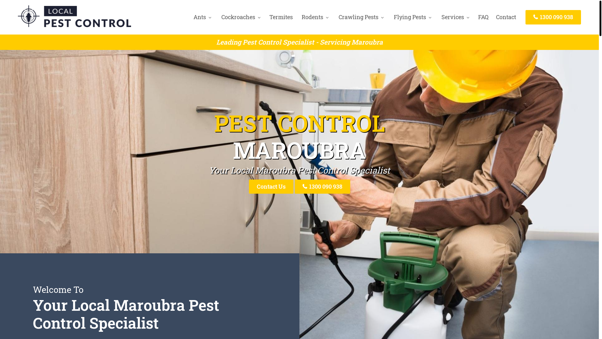 website screenshot of https://pestcontrolmaroubra-net-au.pages.dev/
