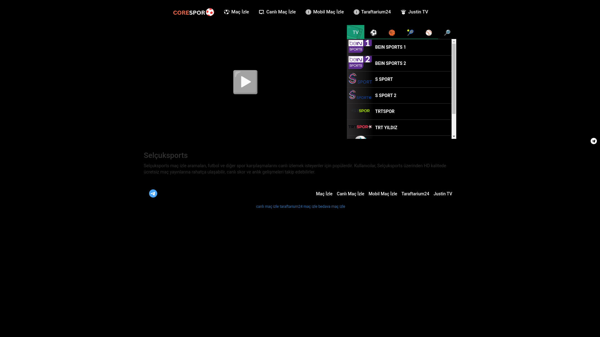 website screenshot of https://selcukspor14.in/