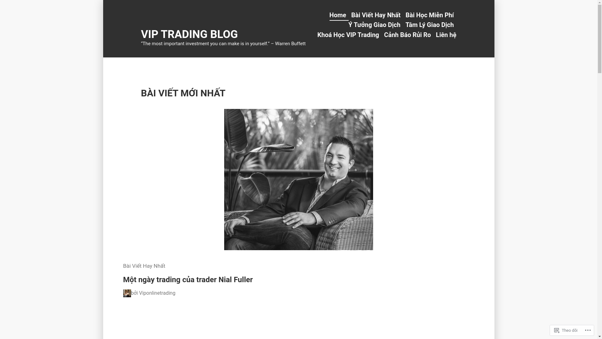 website screenshot of https://viptradingblog.com/
