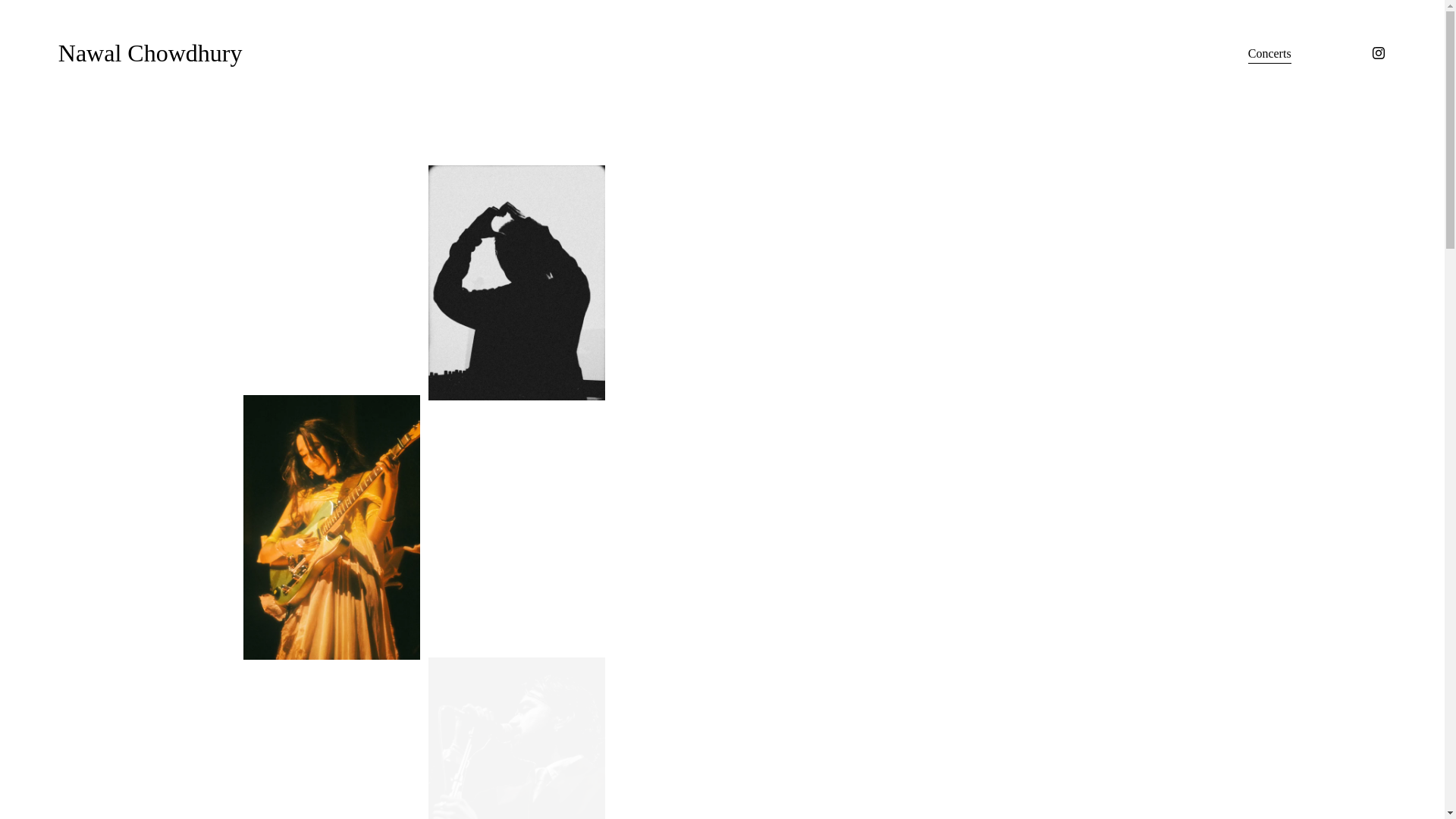 website screenshot of https://nawalchowdhury.com/