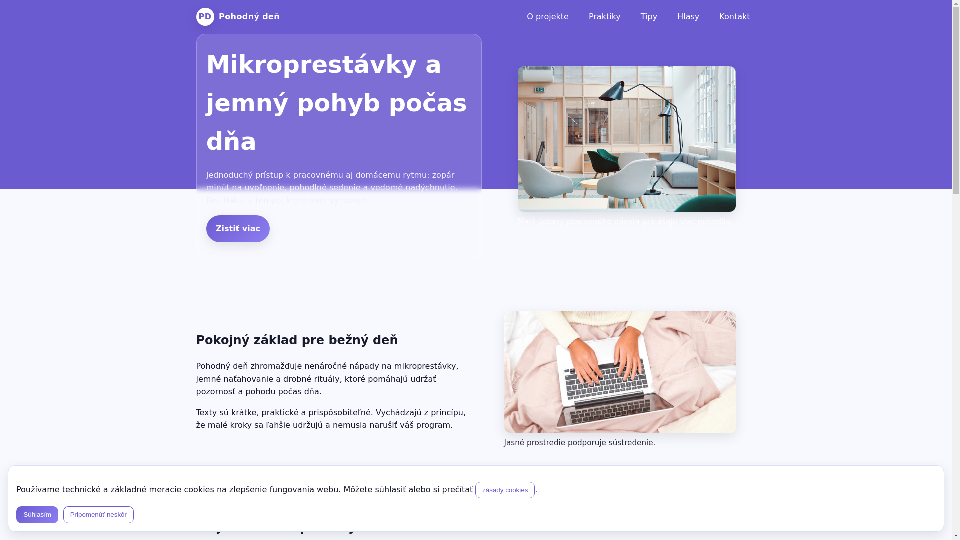 website screenshot of https://skisonese.site/