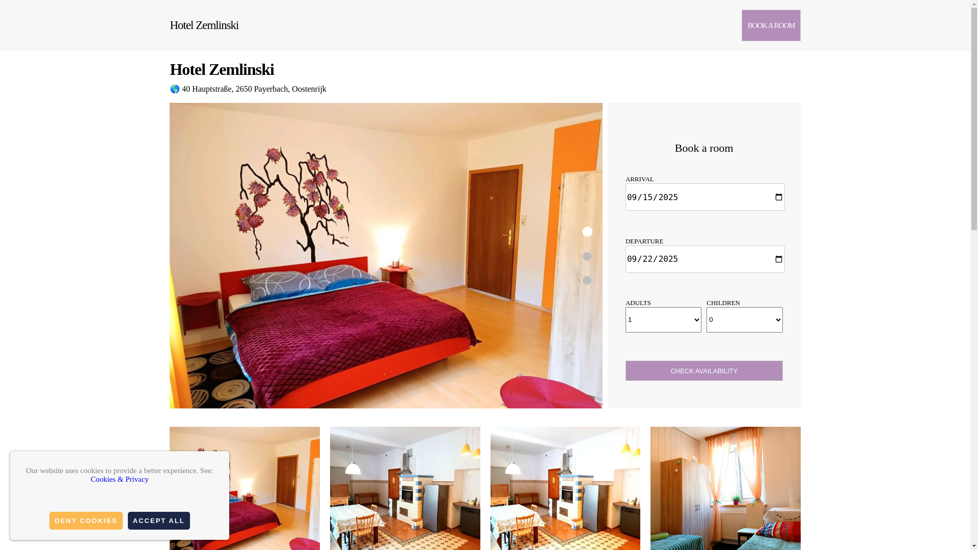 website screenshot of https://hotel-zemlinski.org.es/