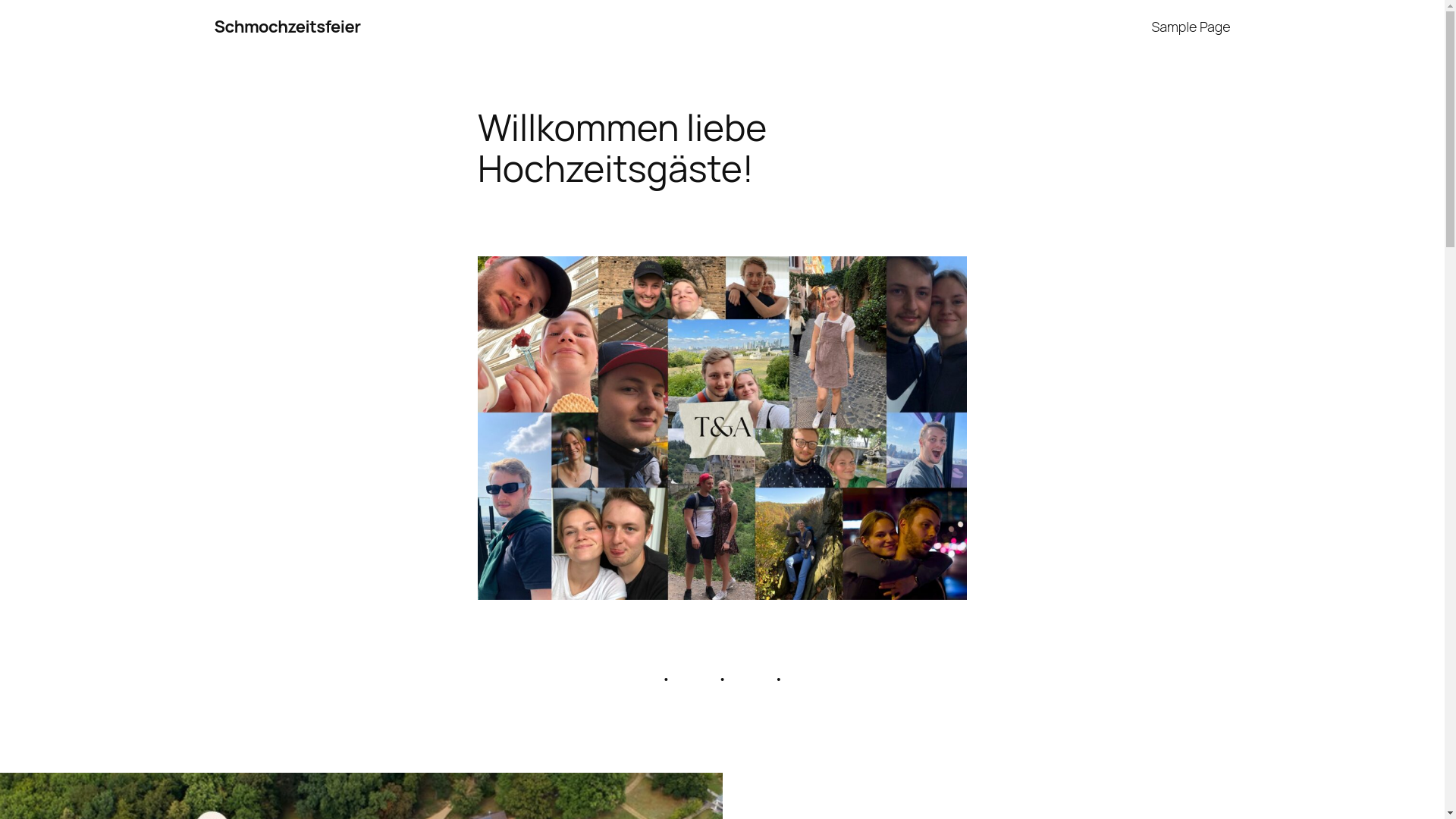 website screenshot of https://einladung-zur-schmochzeitsfeier.de/