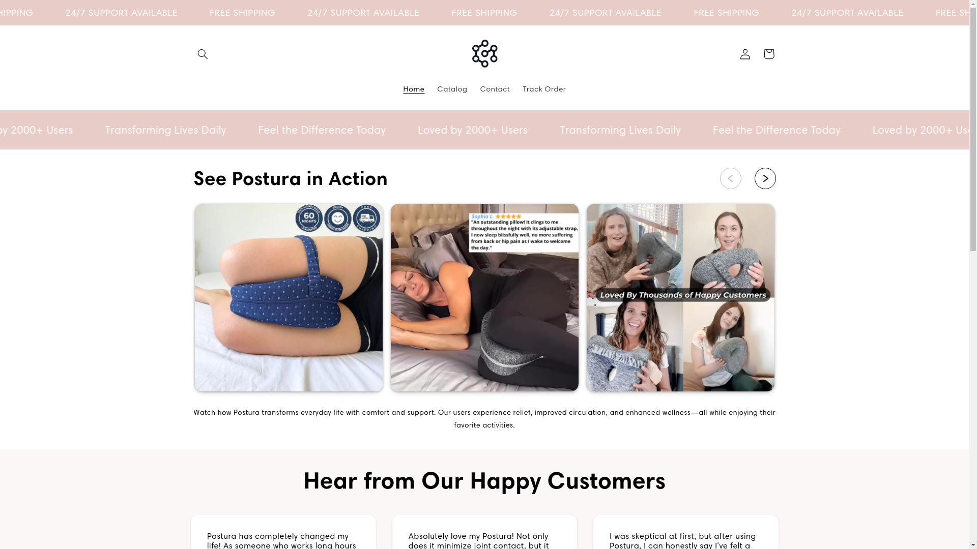 website screenshot of https://posturaperfection.store/
