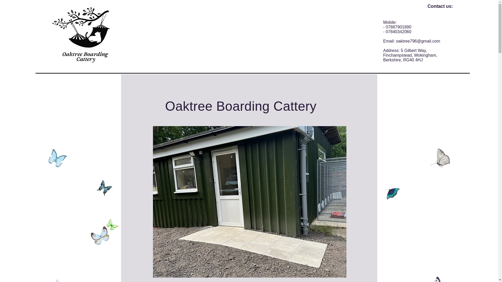 website screenshot of https://oaktreeboardingcattery.co.uk/
