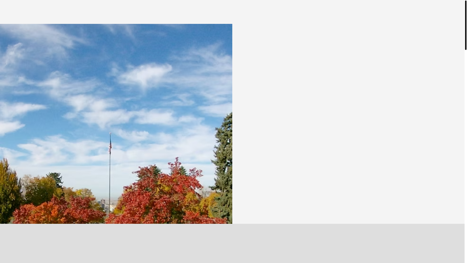 website screenshot of https://leaselinkhomes.com/