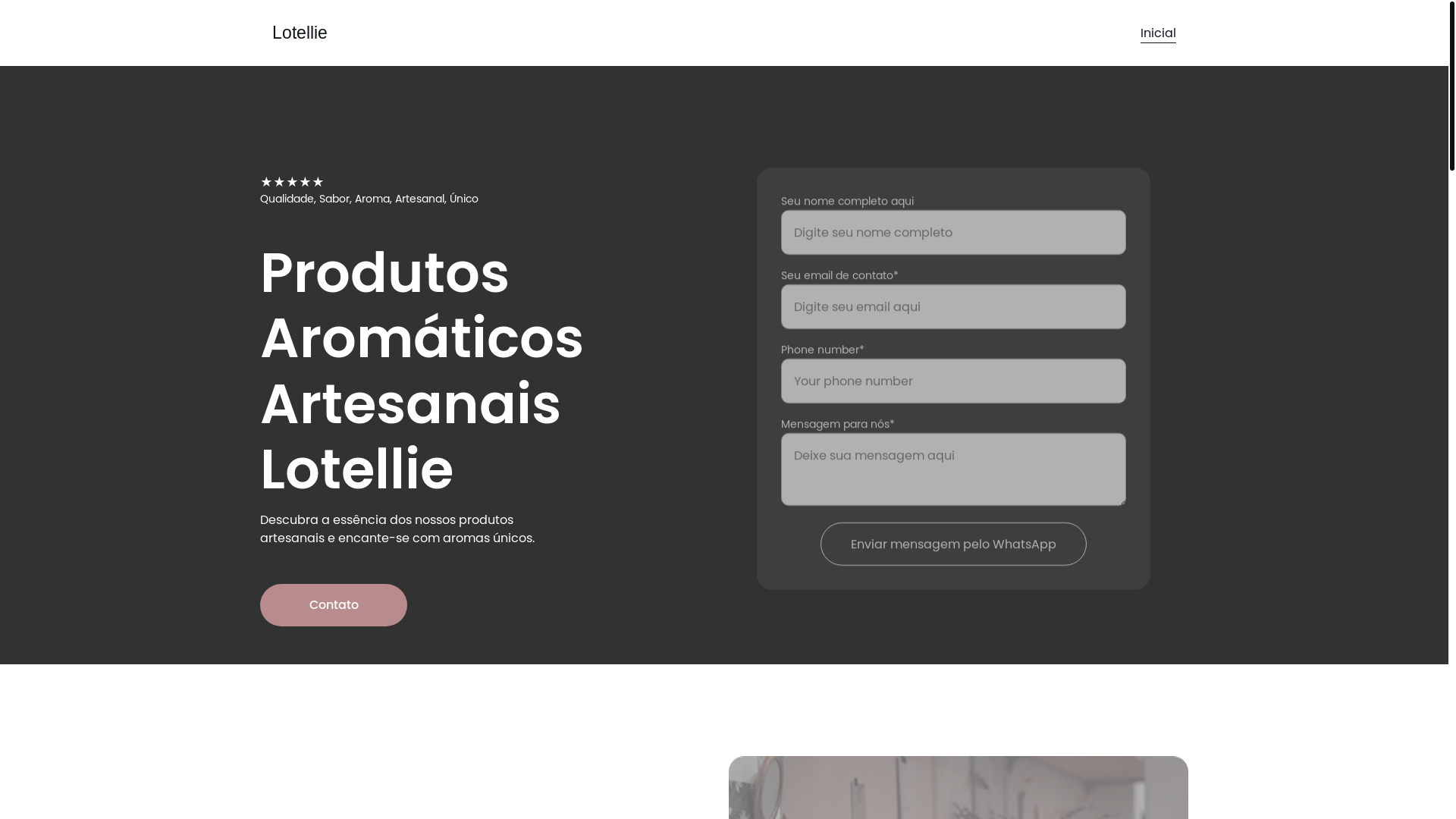 website screenshot of https://lotellie.com.br/