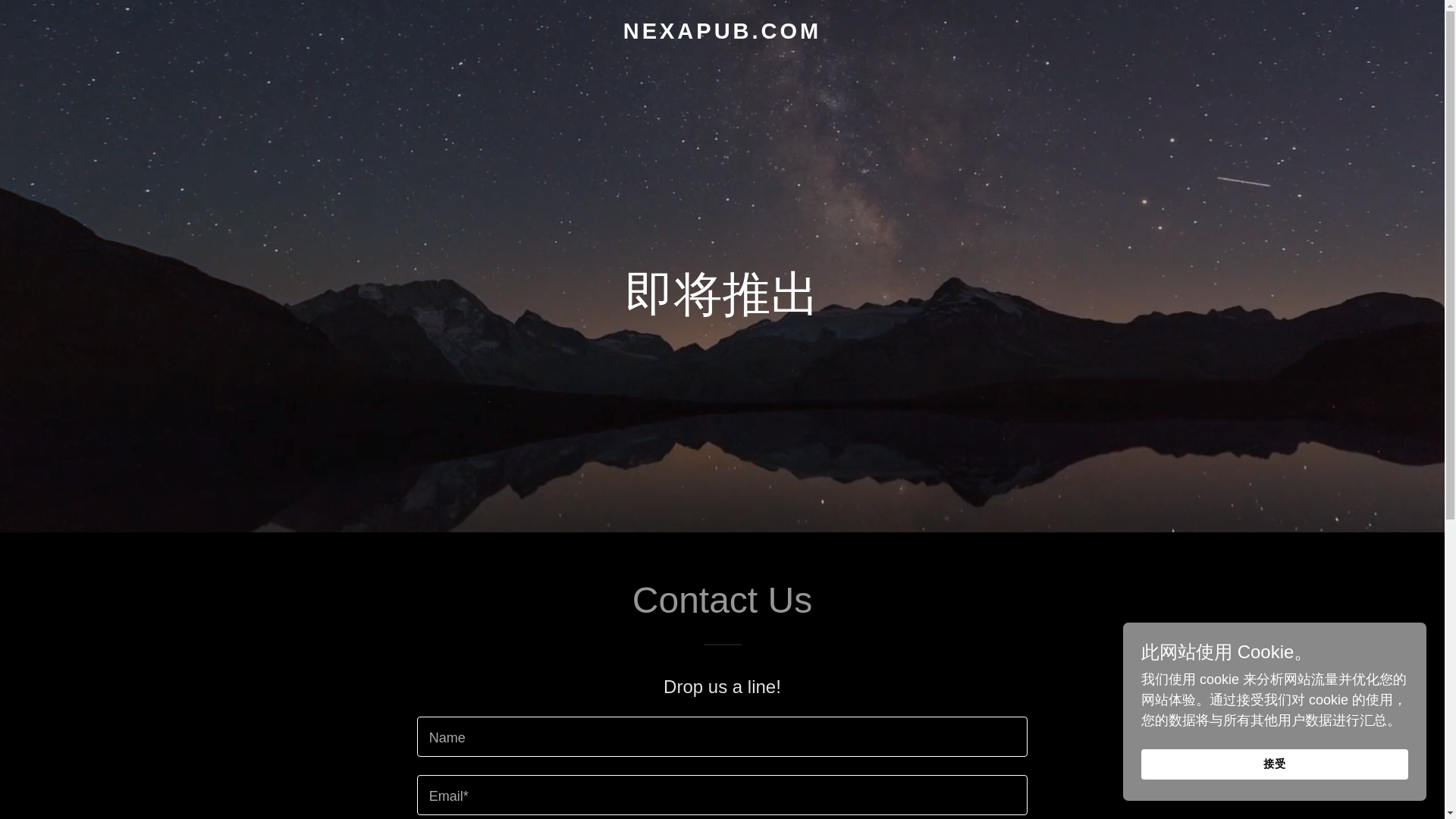 website screenshot of https://nexapub.com/