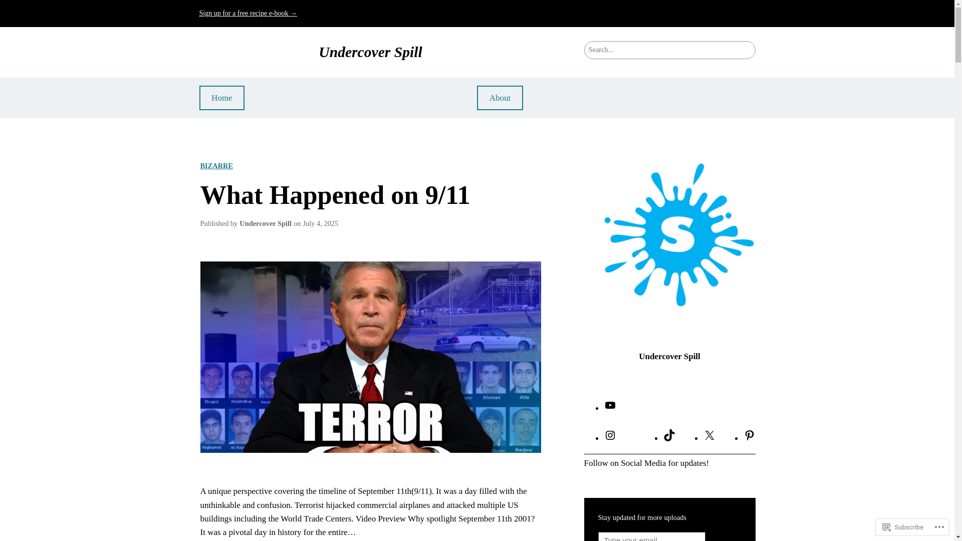 website screenshot of https://undercoverspill.com/
