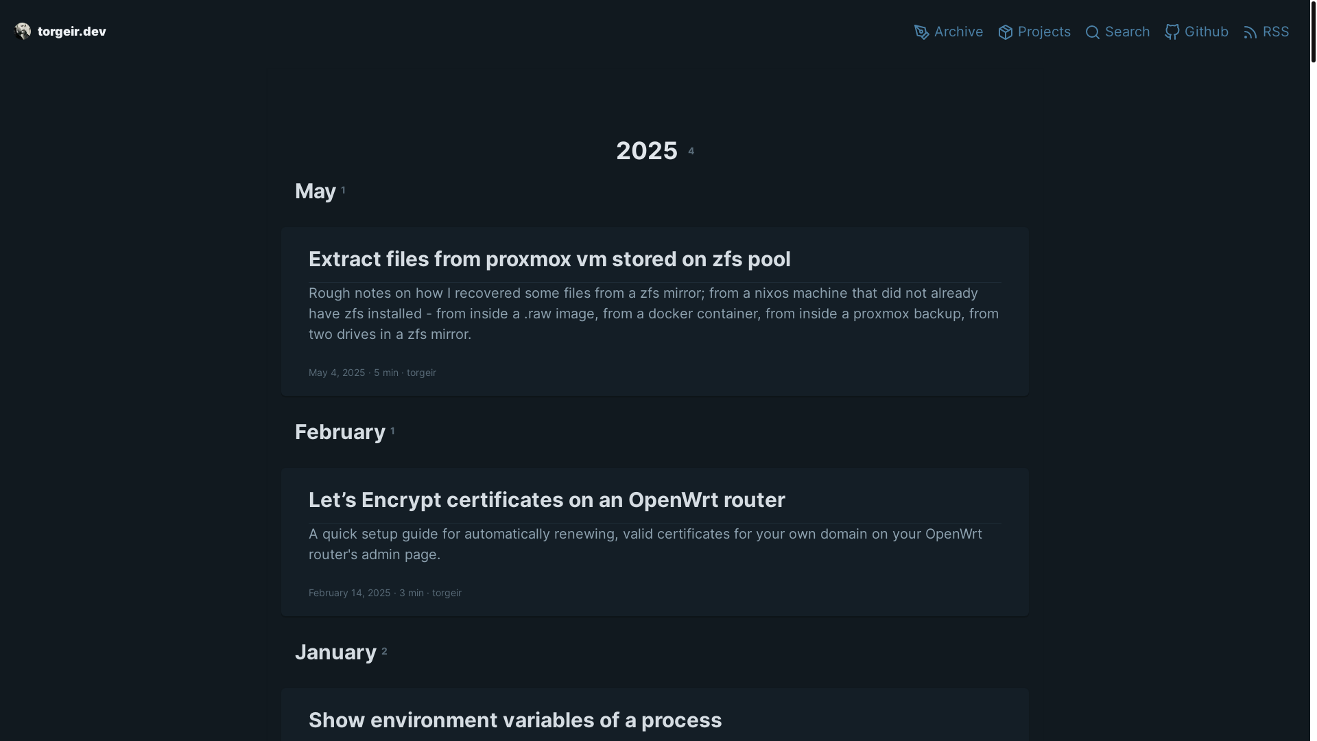 website screenshot of https://torgeir.dev/