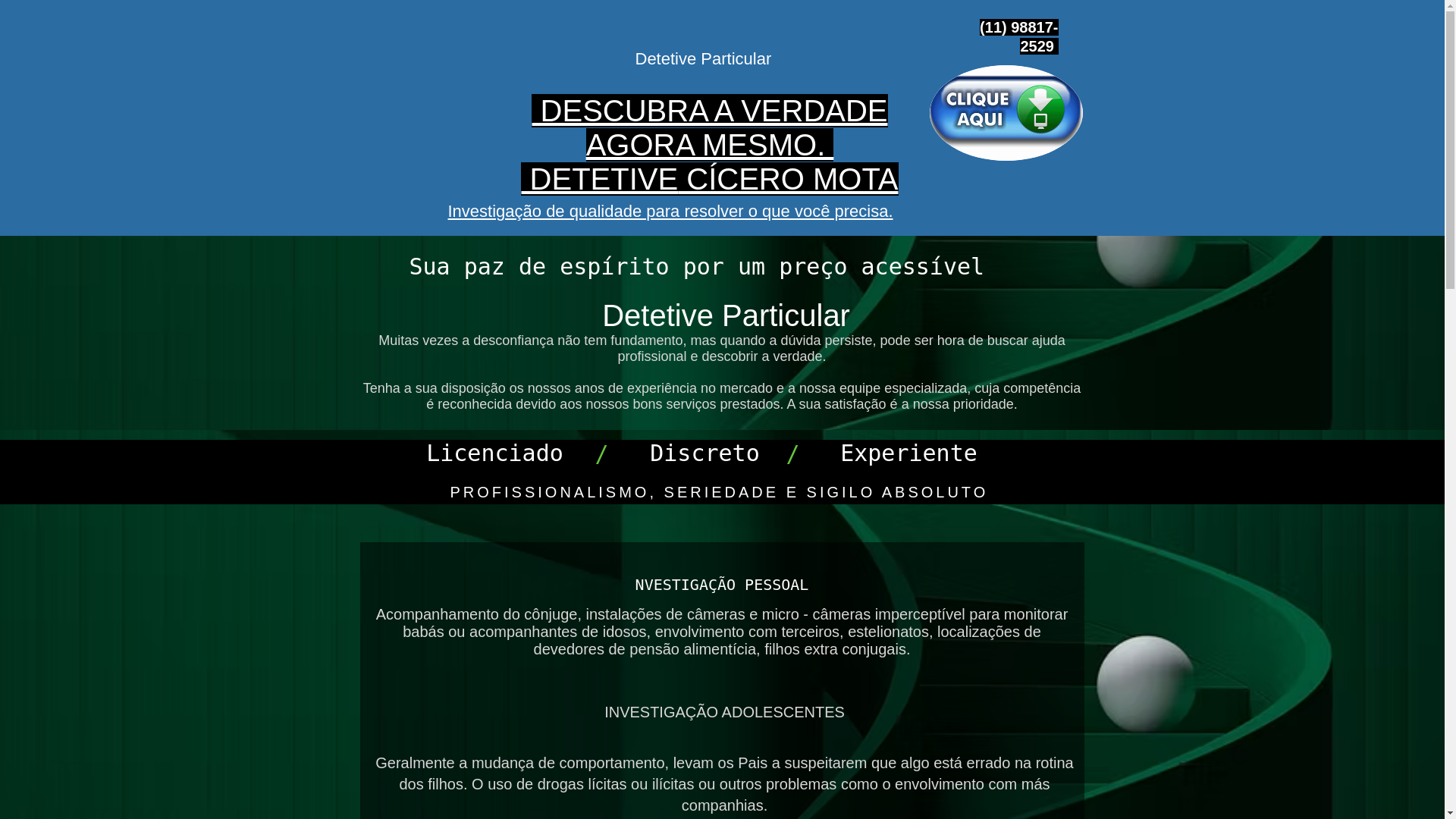 website screenshot of https://detetivemota.com.br/