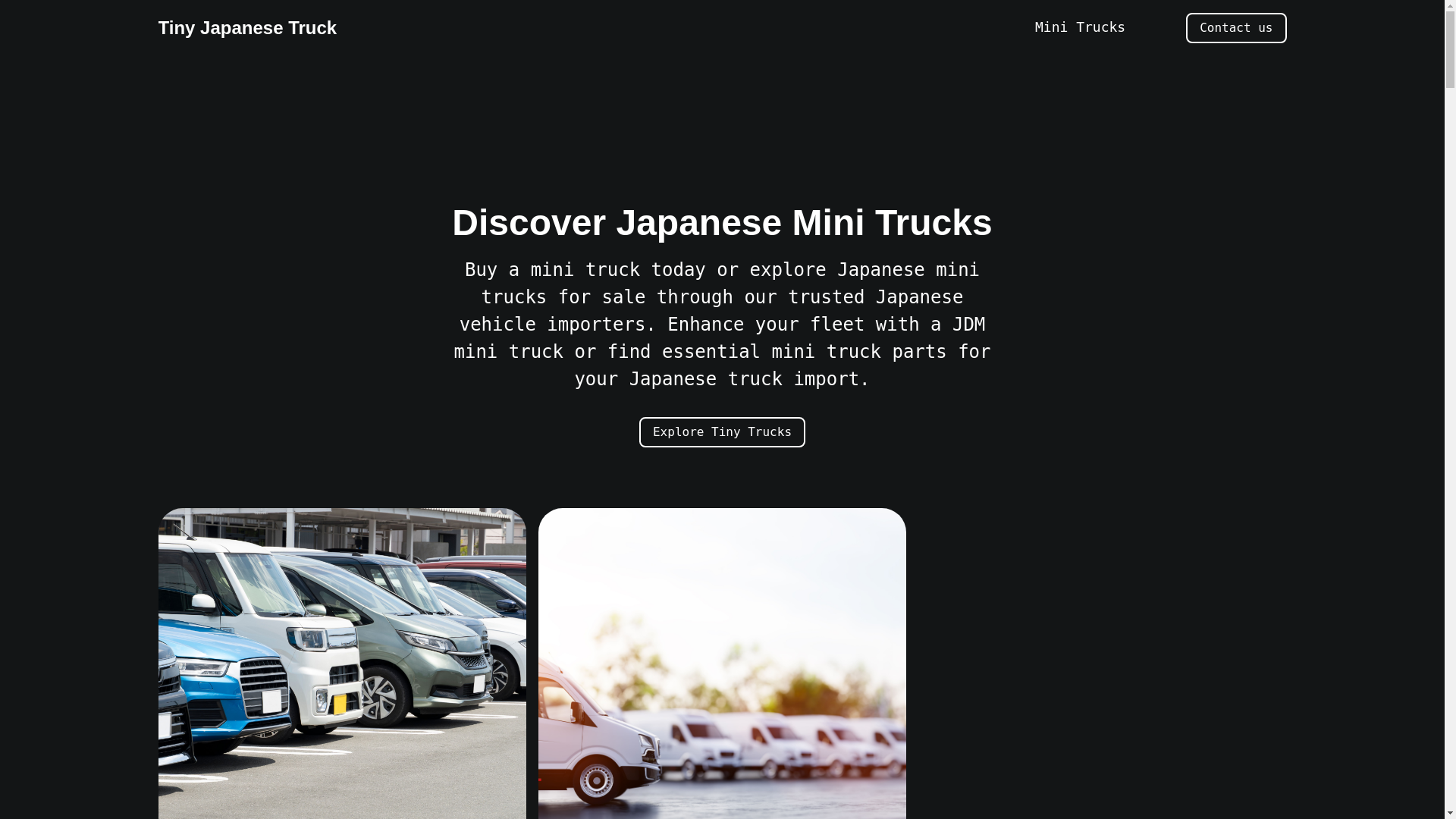 website screenshot of https://tinyjapanesetruck.com/