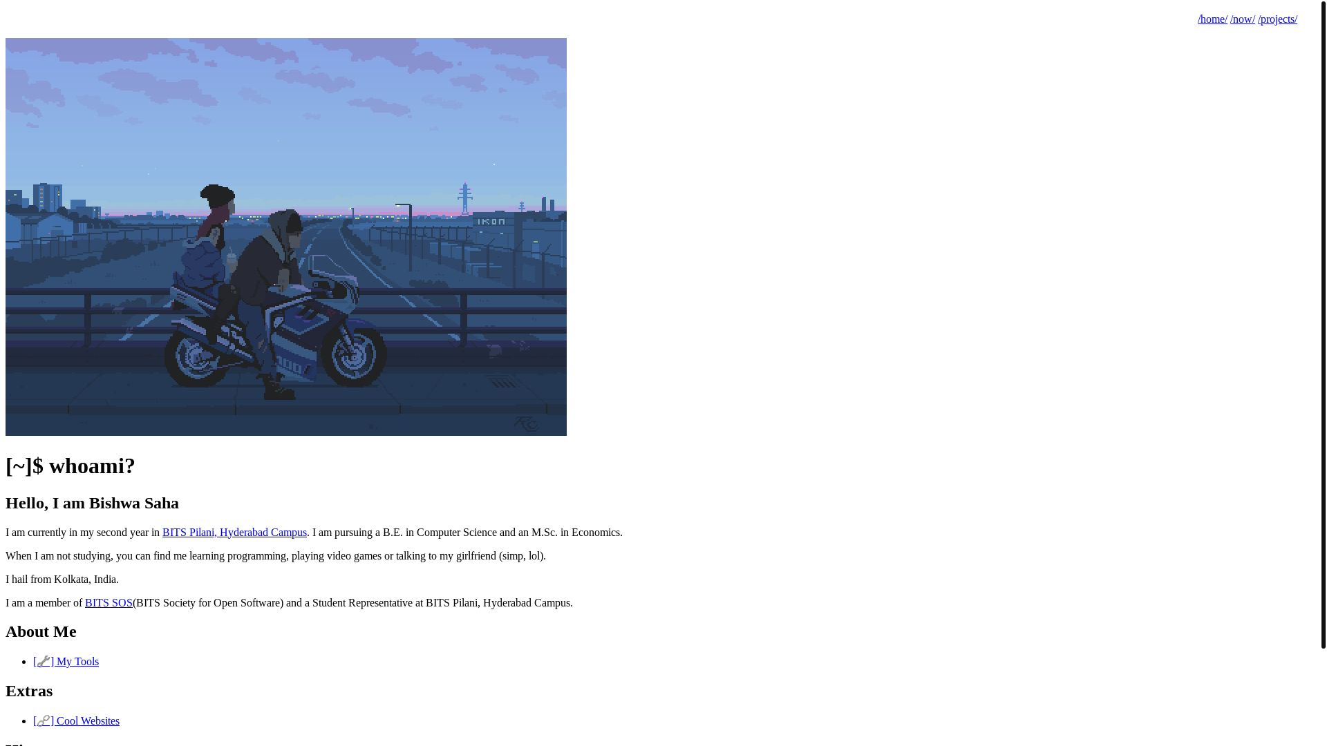 website screenshot of https://bishwasaha.pages.dev/