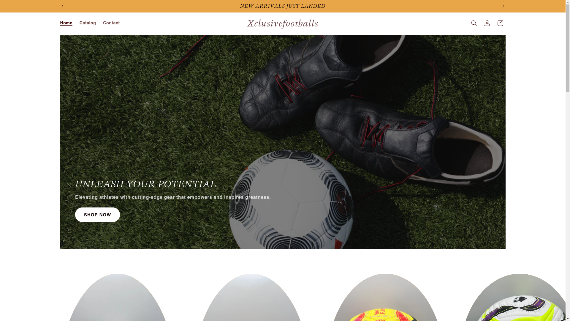 website screenshot of https://xclusivefootballs.com/