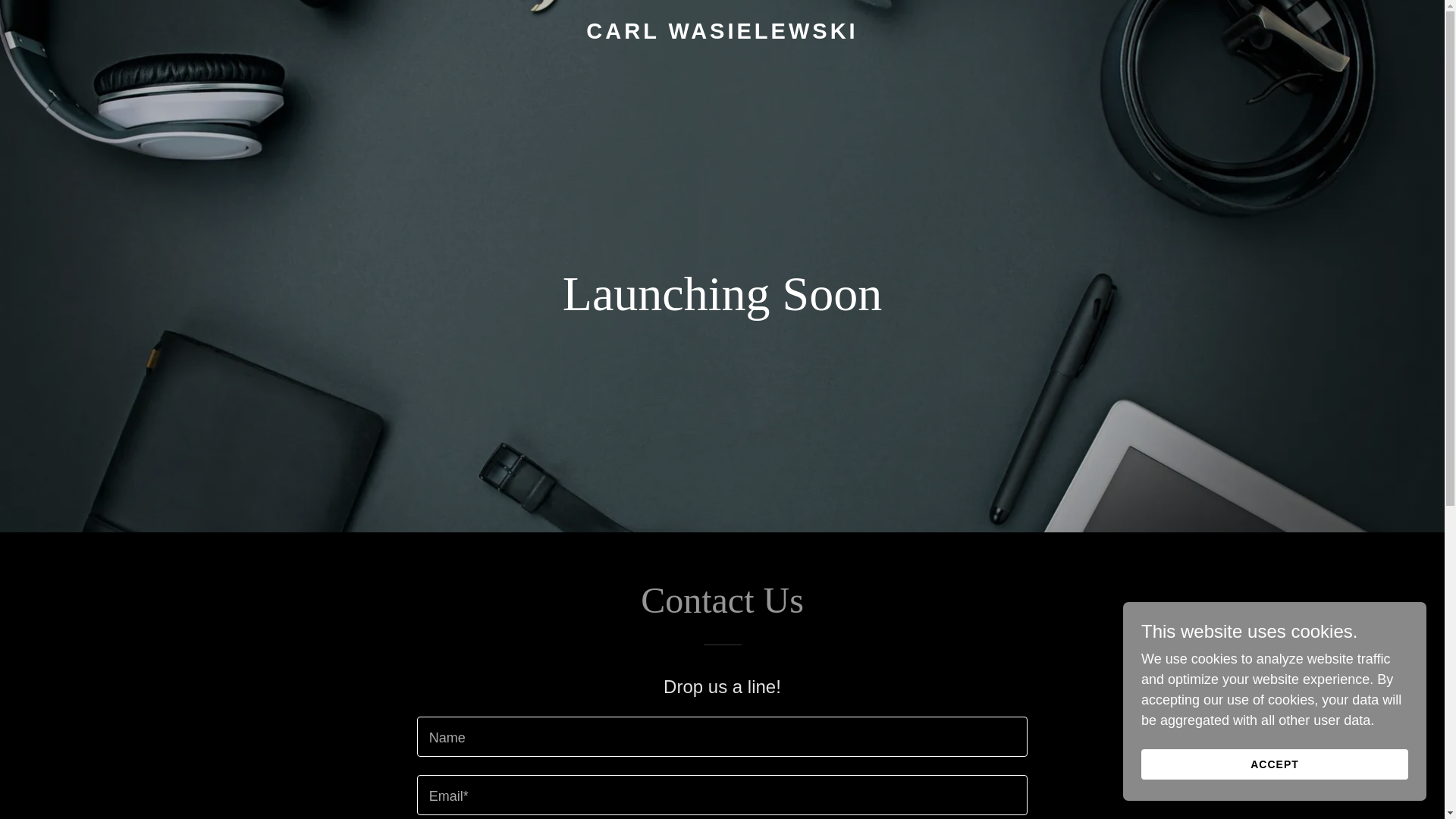 website screenshot of https://carlwasielewski.com/