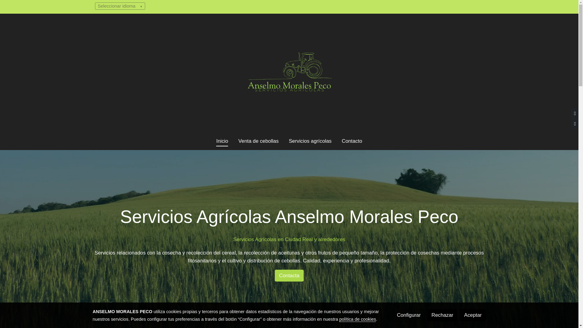 website screenshot of https://serviciosagricolasamp.es/