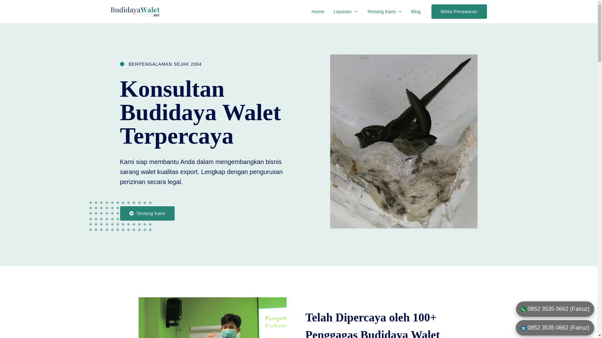 website screenshot of https://budidayawalet-net.pages.dev/