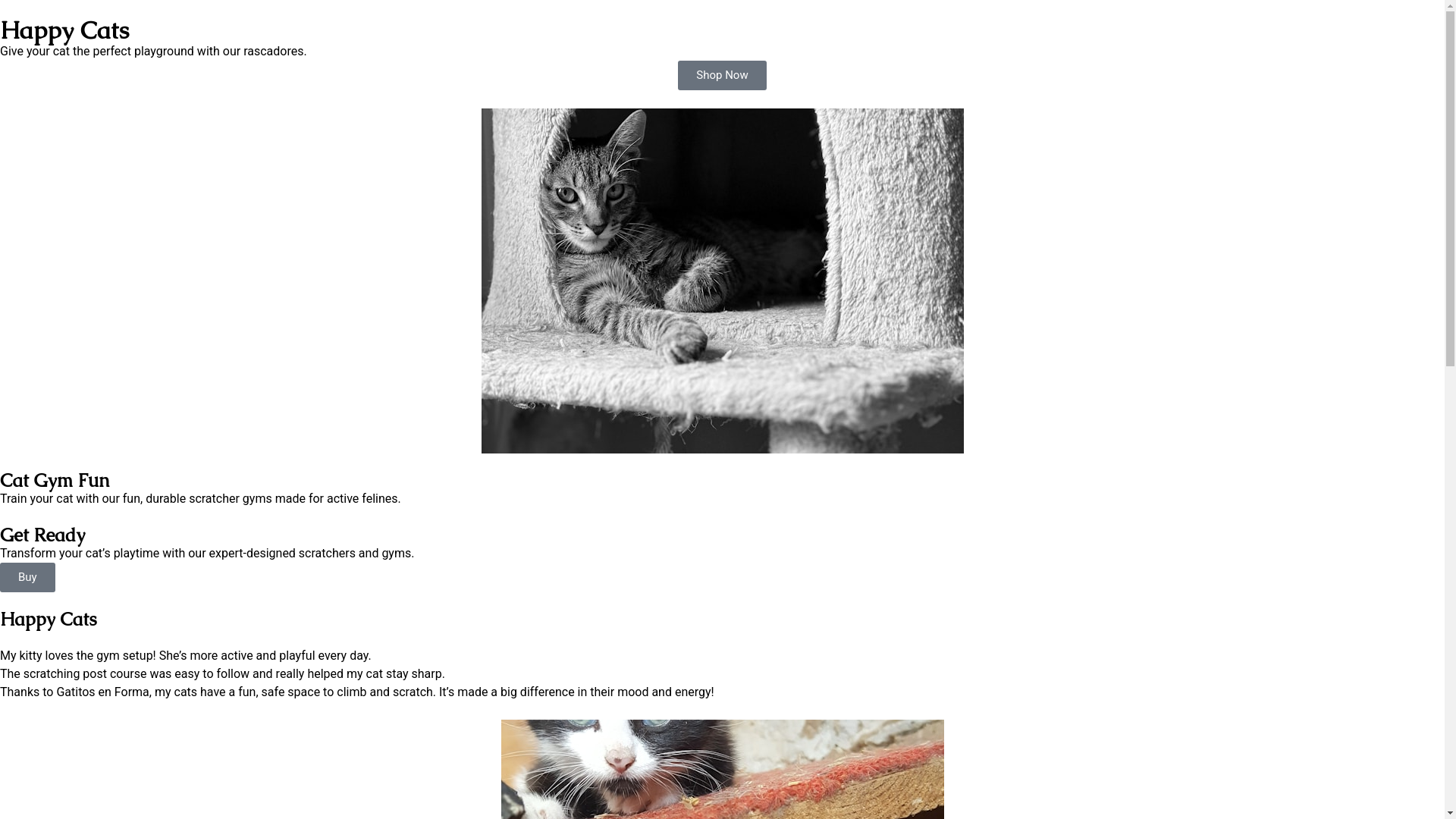 website screenshot of https://gatitosenforma.com/
