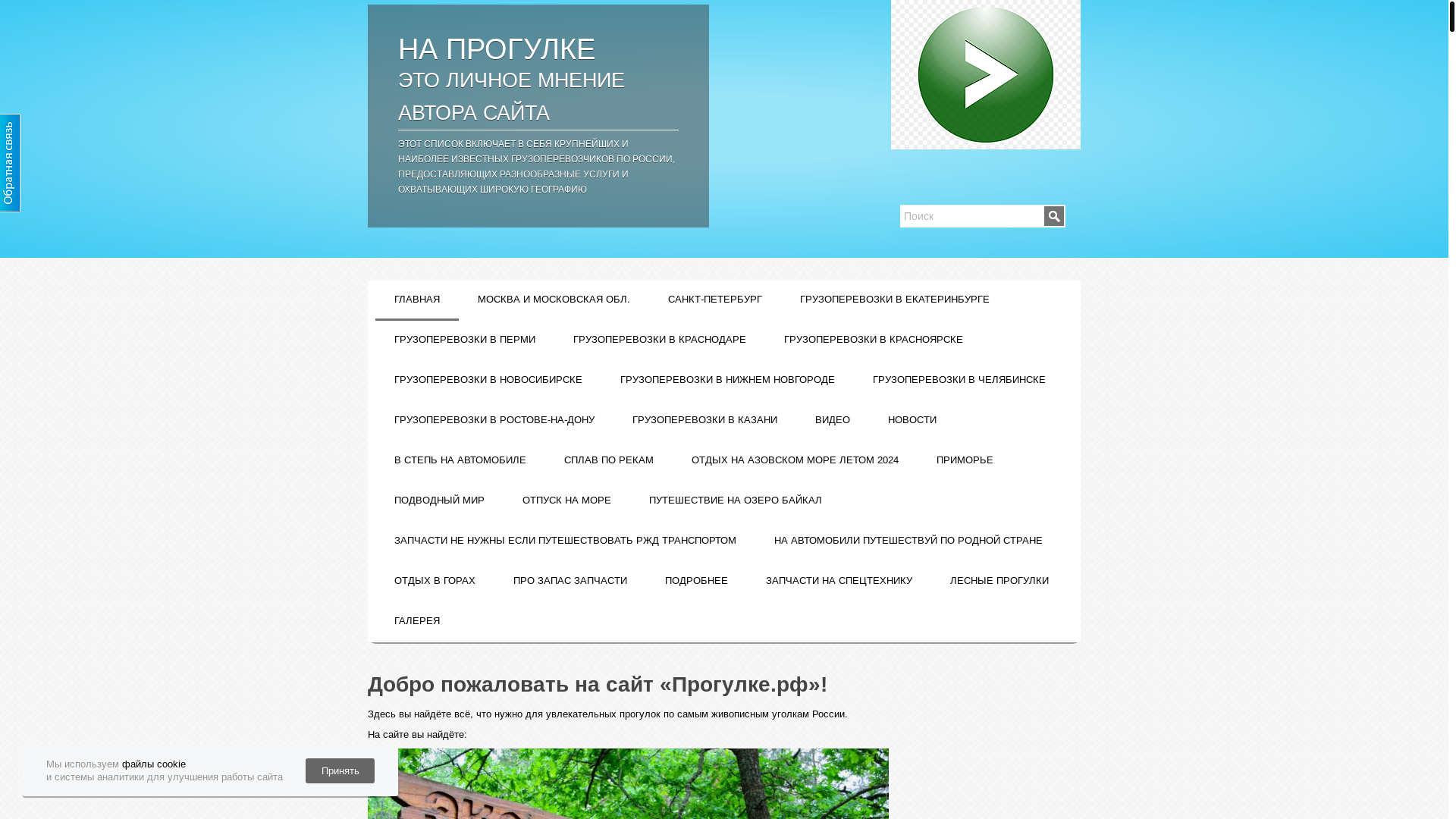 website screenshot of https://xn--c1aeodnfh0a.xn--p1ai/