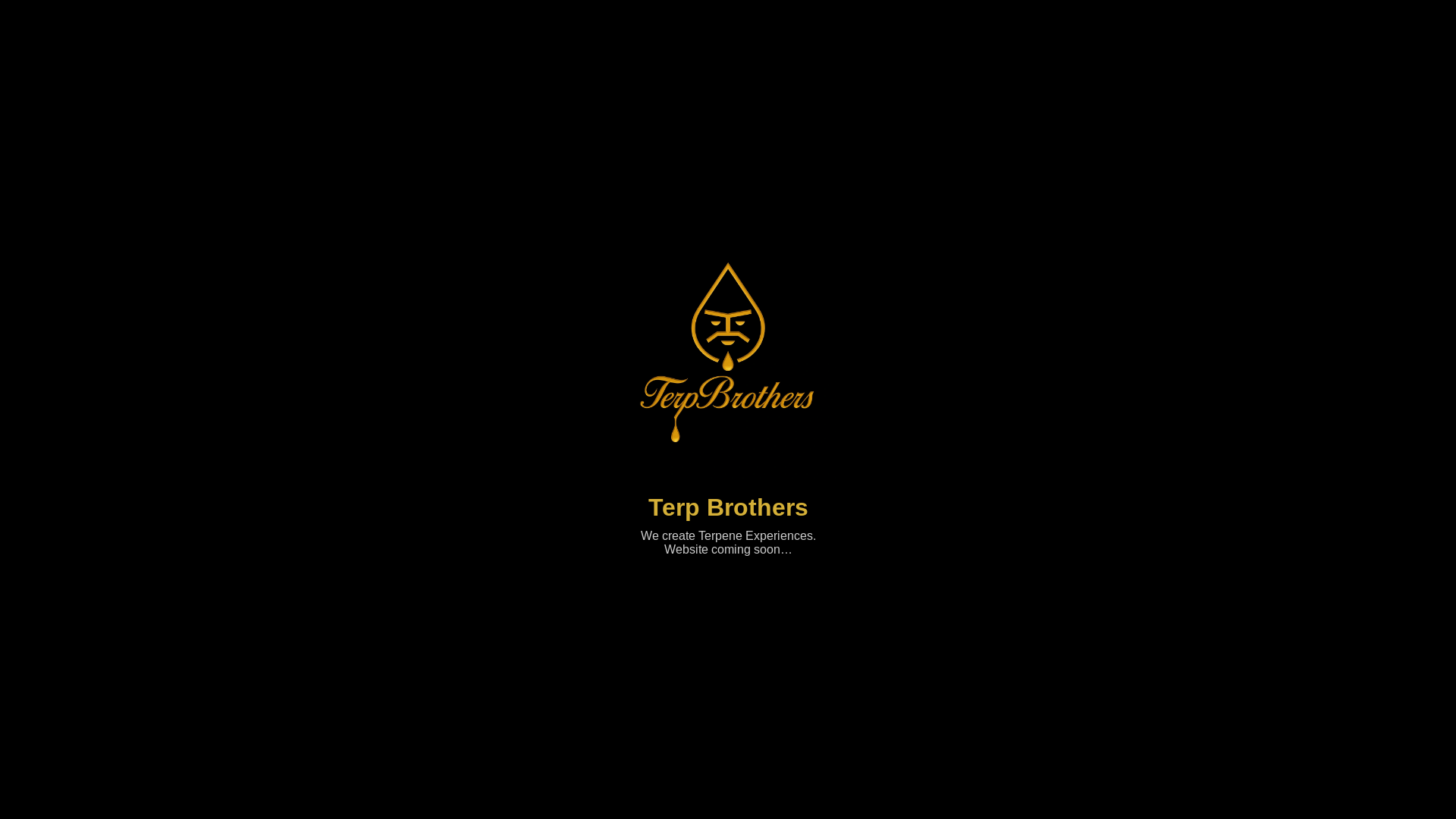website screenshot of https://terpbrothers.de/