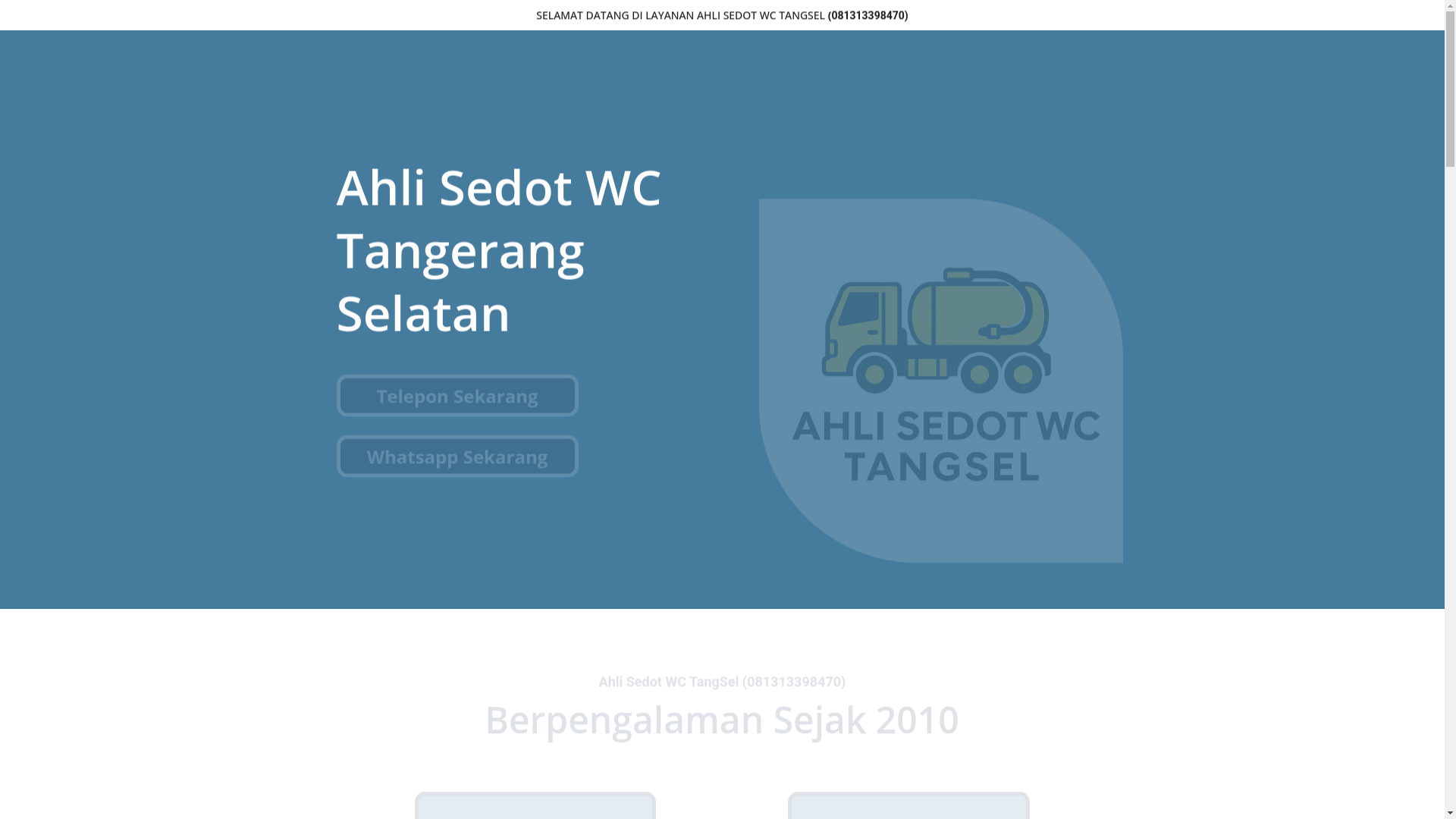 website screenshot of https://jasasedotwctangsel.id/