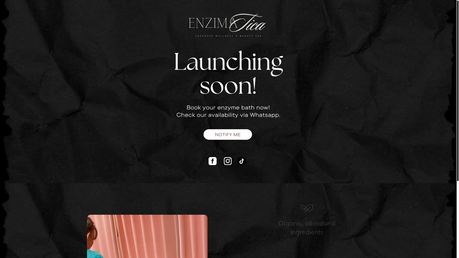 website screenshot of https://enzimaticacrj.com/