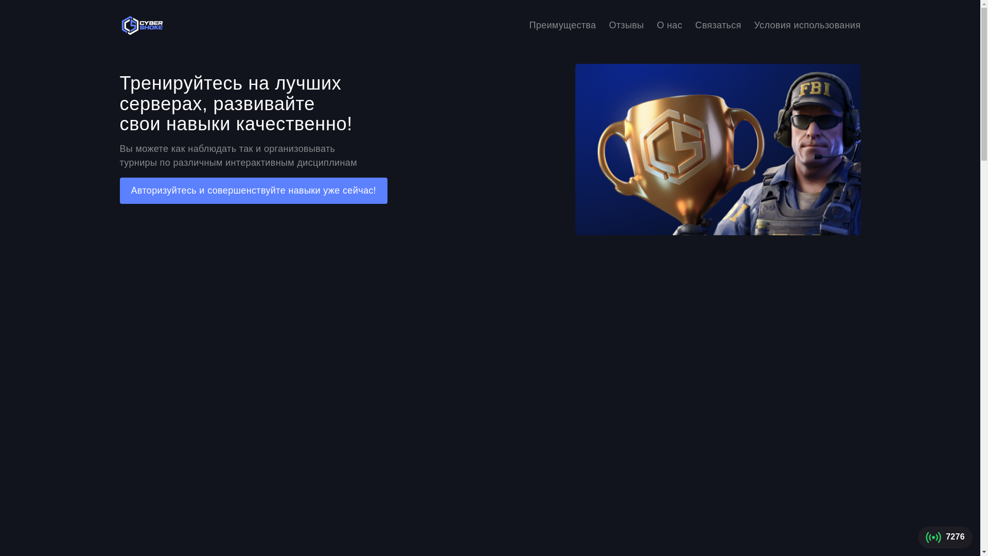 website screenshot of https://cybershobe.com/