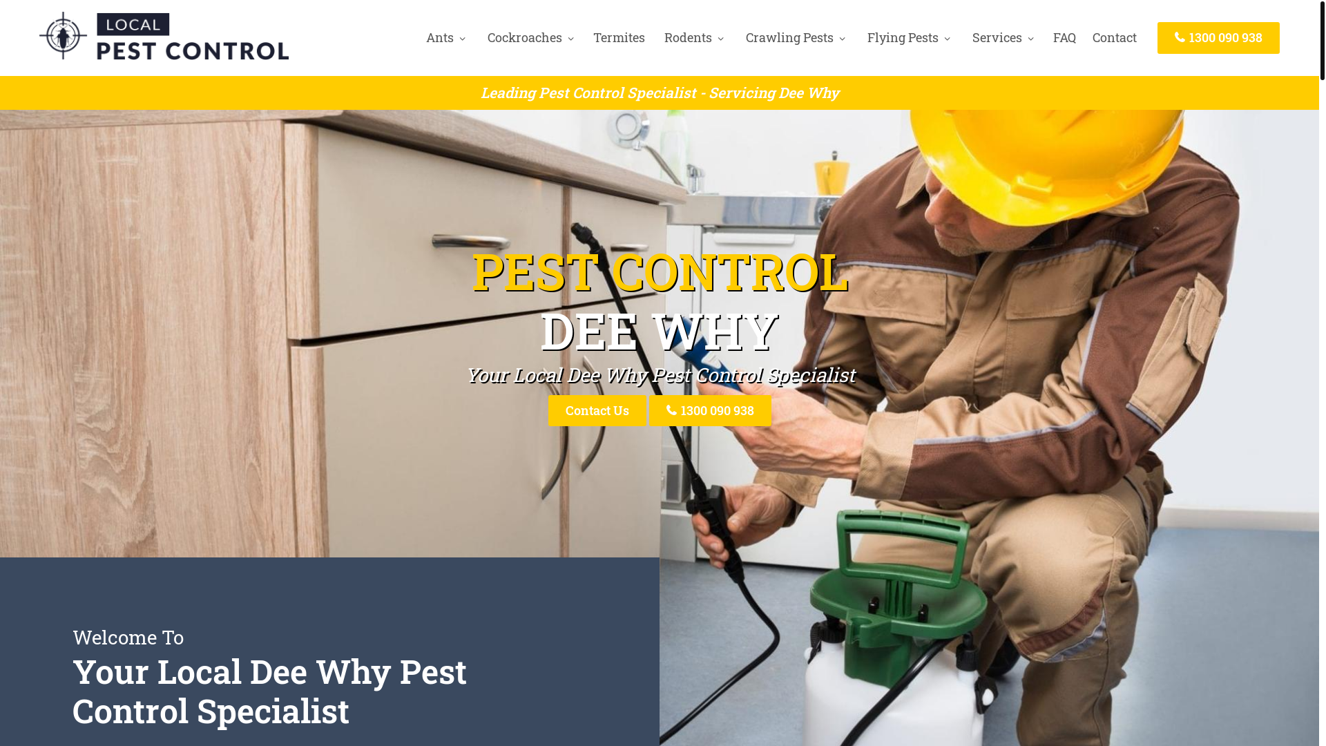 website screenshot of https://pestcontroldeewhy-net-au.pages.dev/