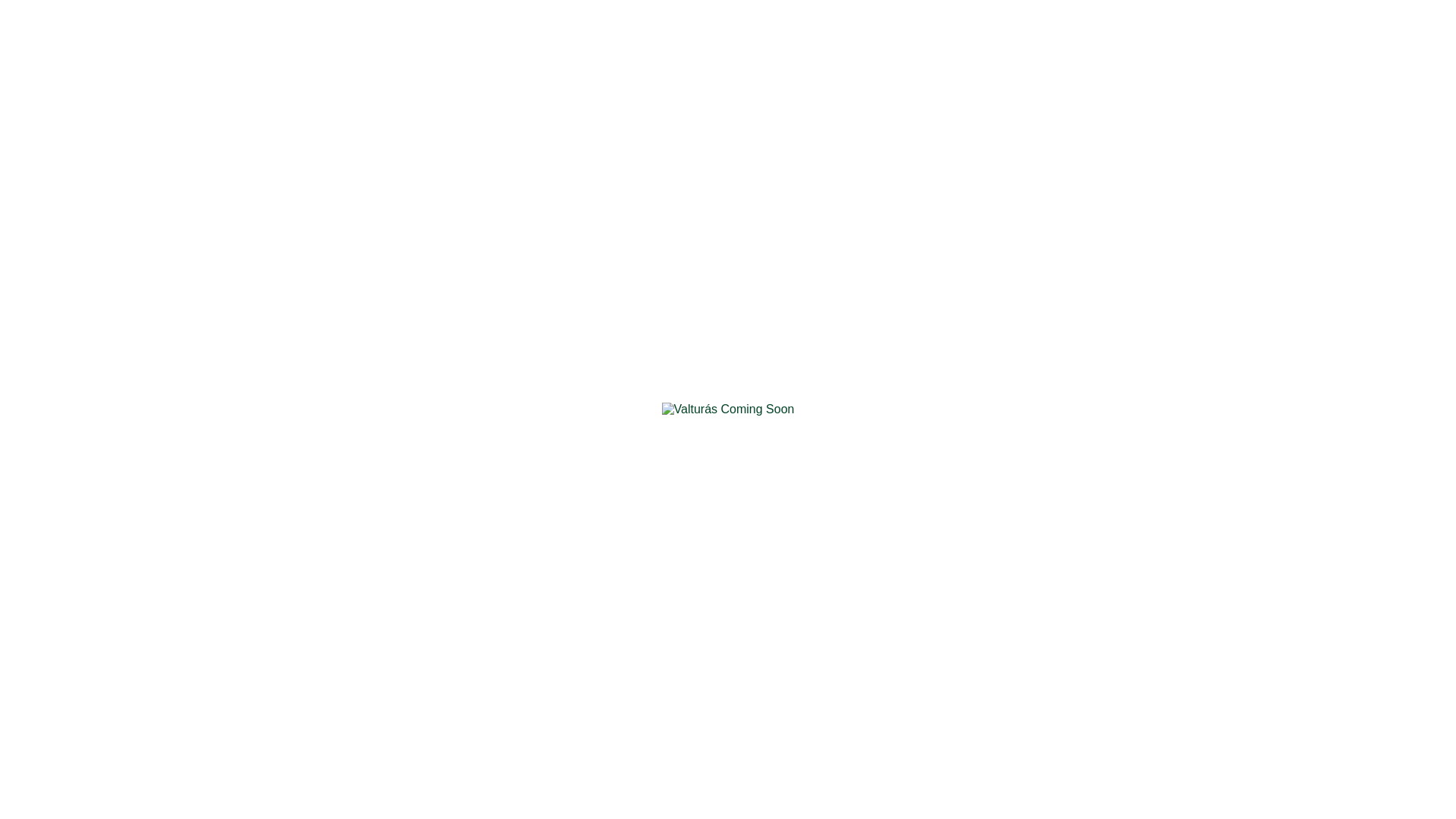 website screenshot of https://valturas-352.pages.dev/