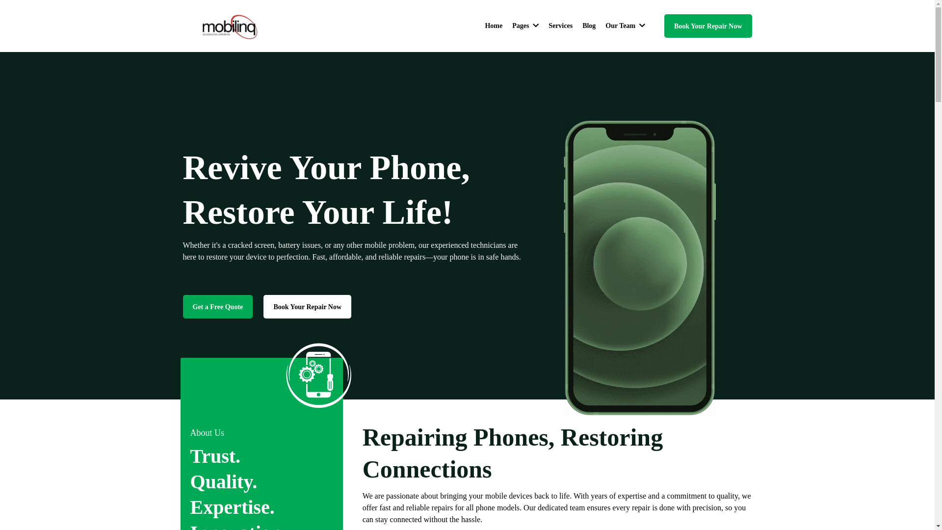 website screenshot of https://mobilesbyhasham.ca/