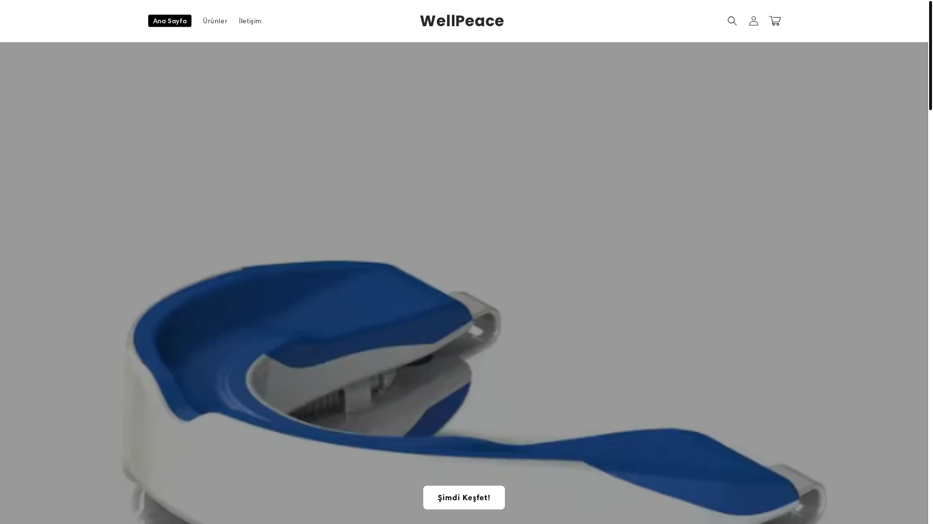 website screenshot of https://wellpeacestore.com/