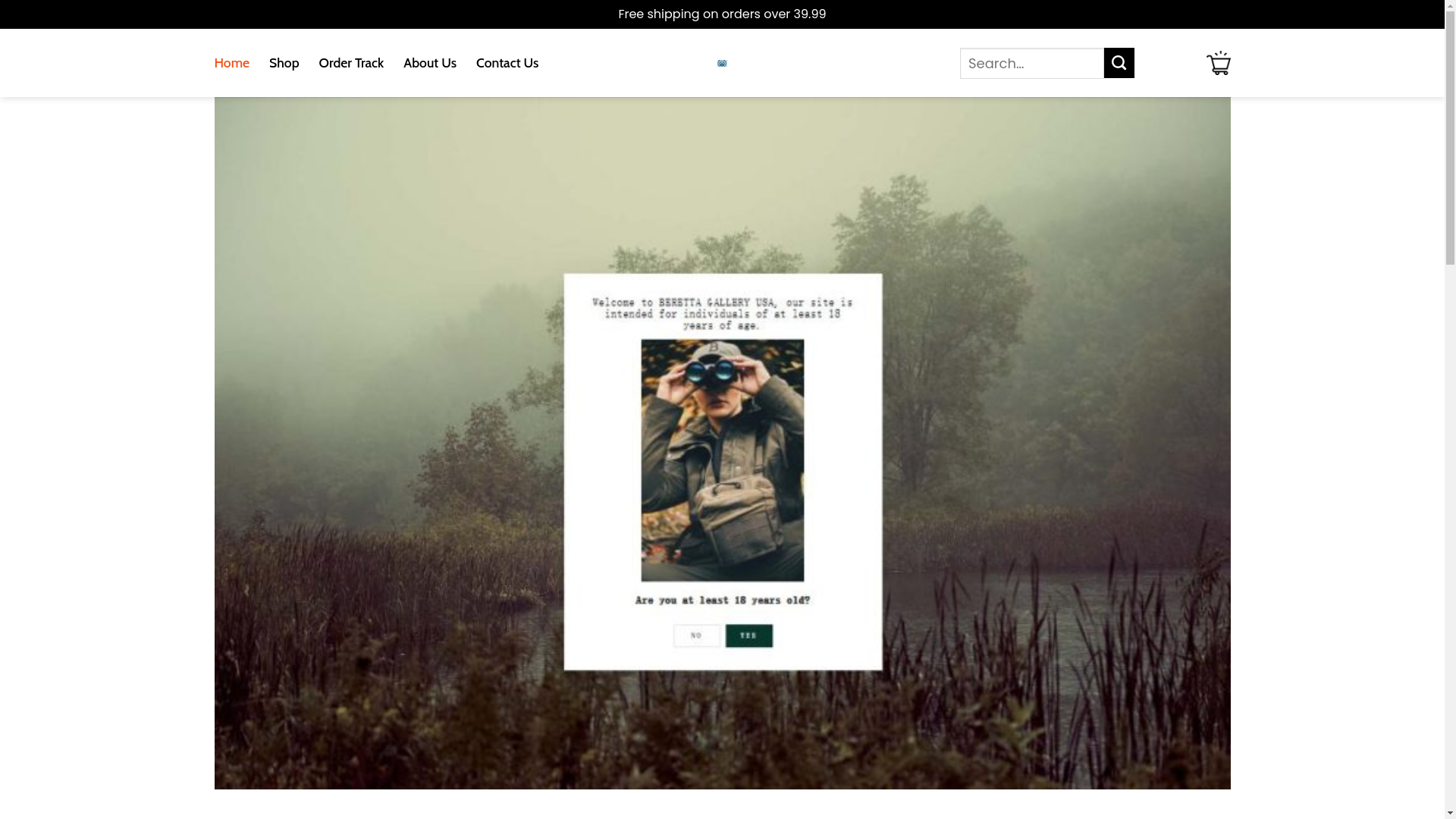 website screenshot of https://berettagalleryusaois-us.shop/