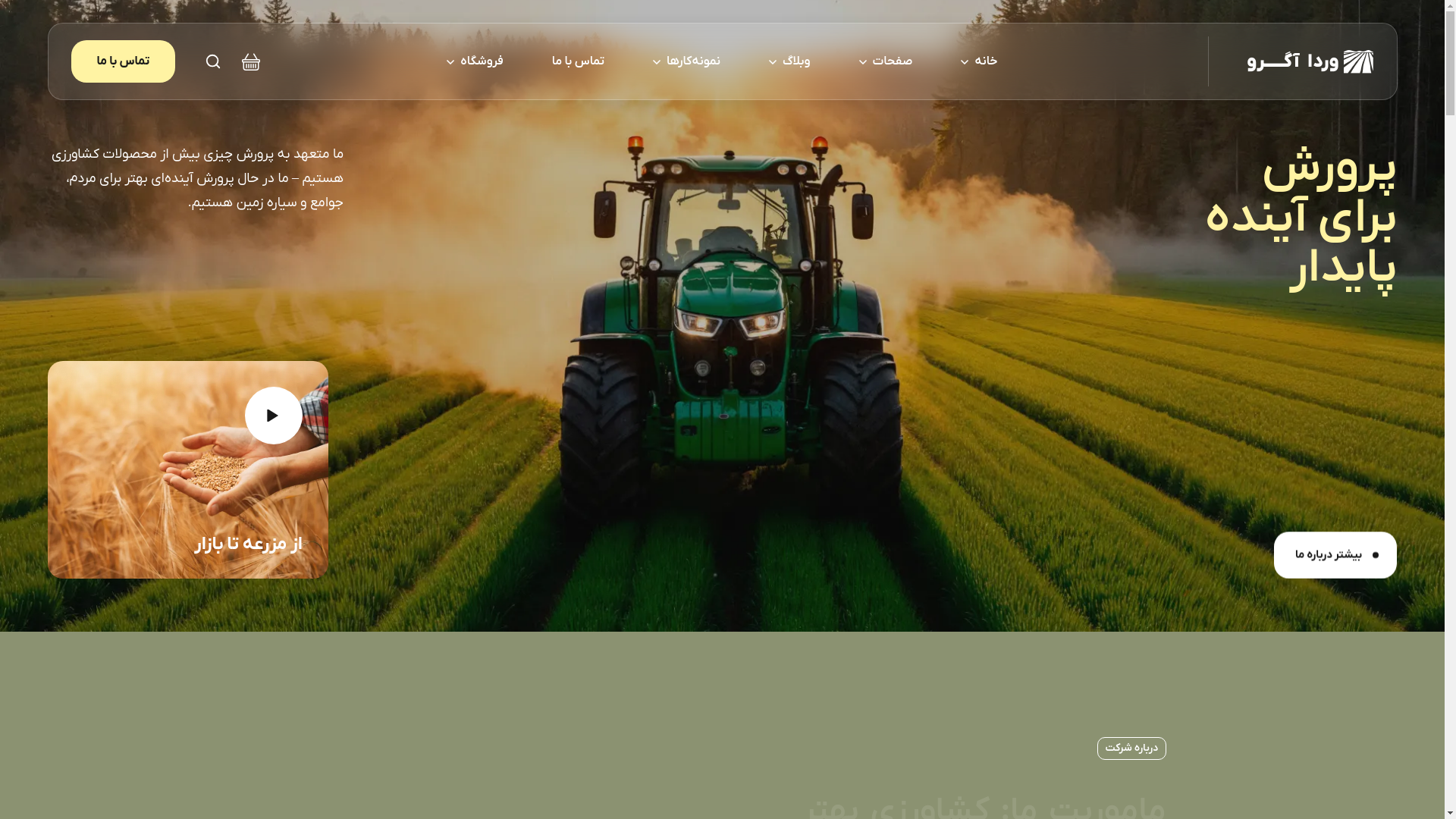 website screenshot of https://jalizanhooshmand.com/