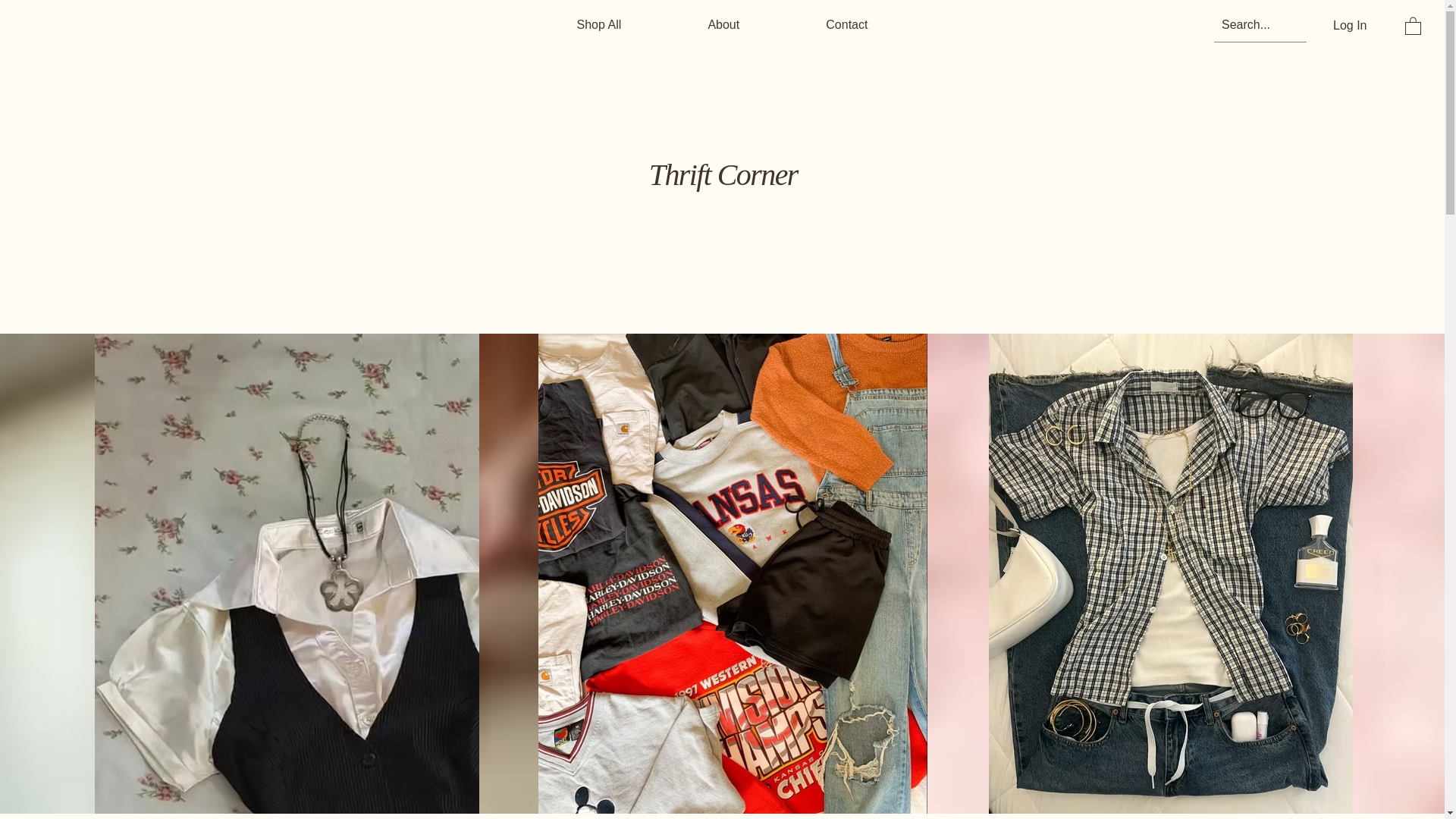 website screenshot of https://thriftstores.store/