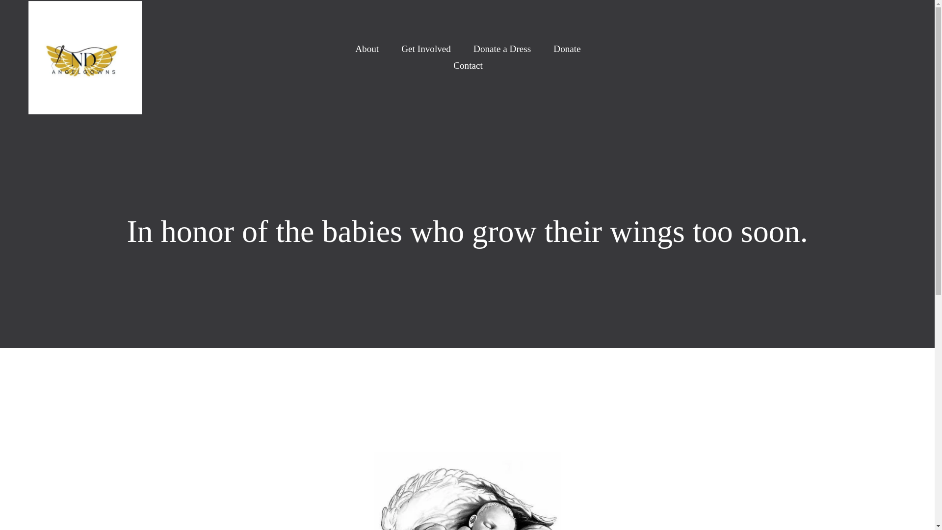 website screenshot of https://ndangelgowns.com/