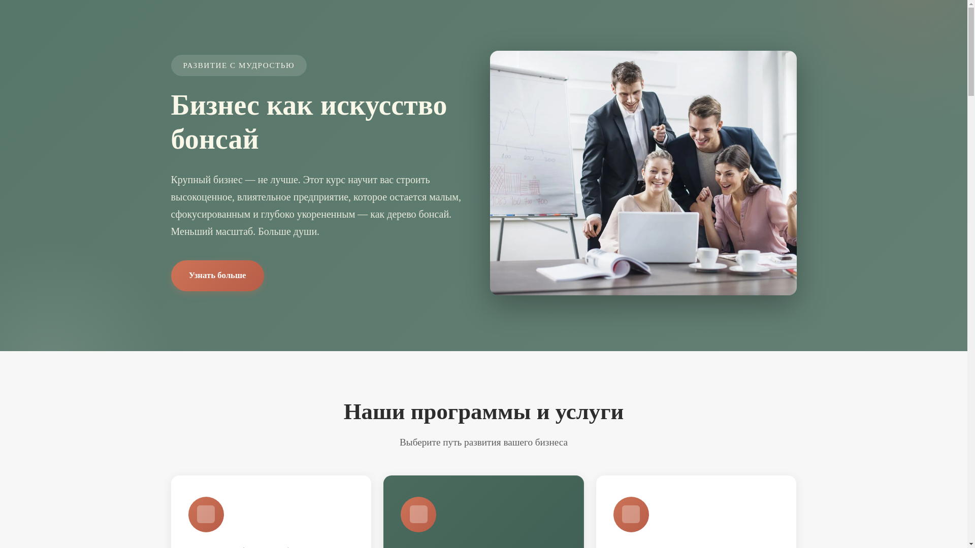 website screenshot of https://codesta1ckopt.info/