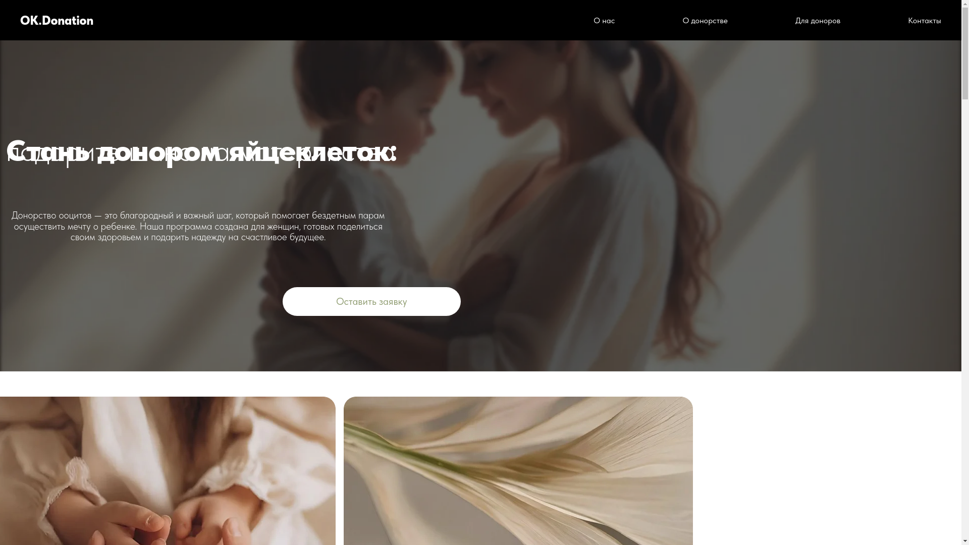 website screenshot of https://ok-donation.ru/