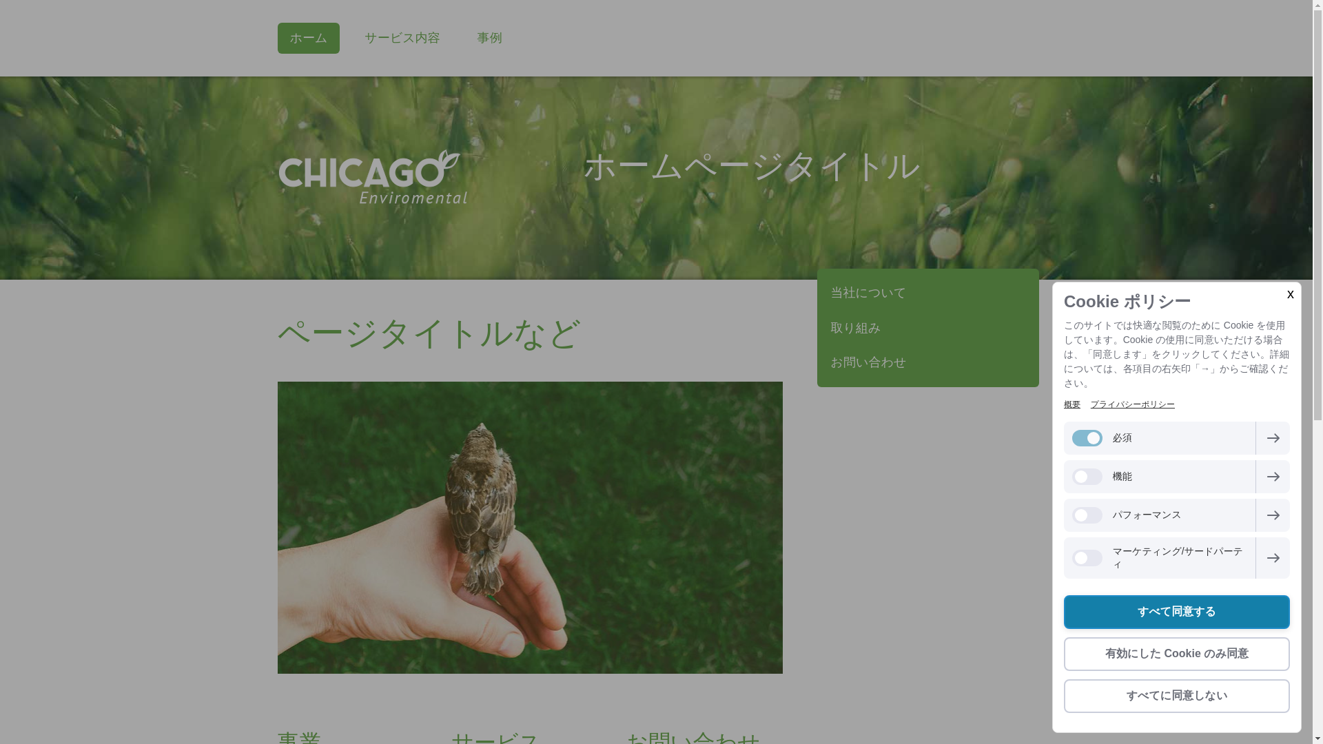 website screenshot of https://anrijpn.com/